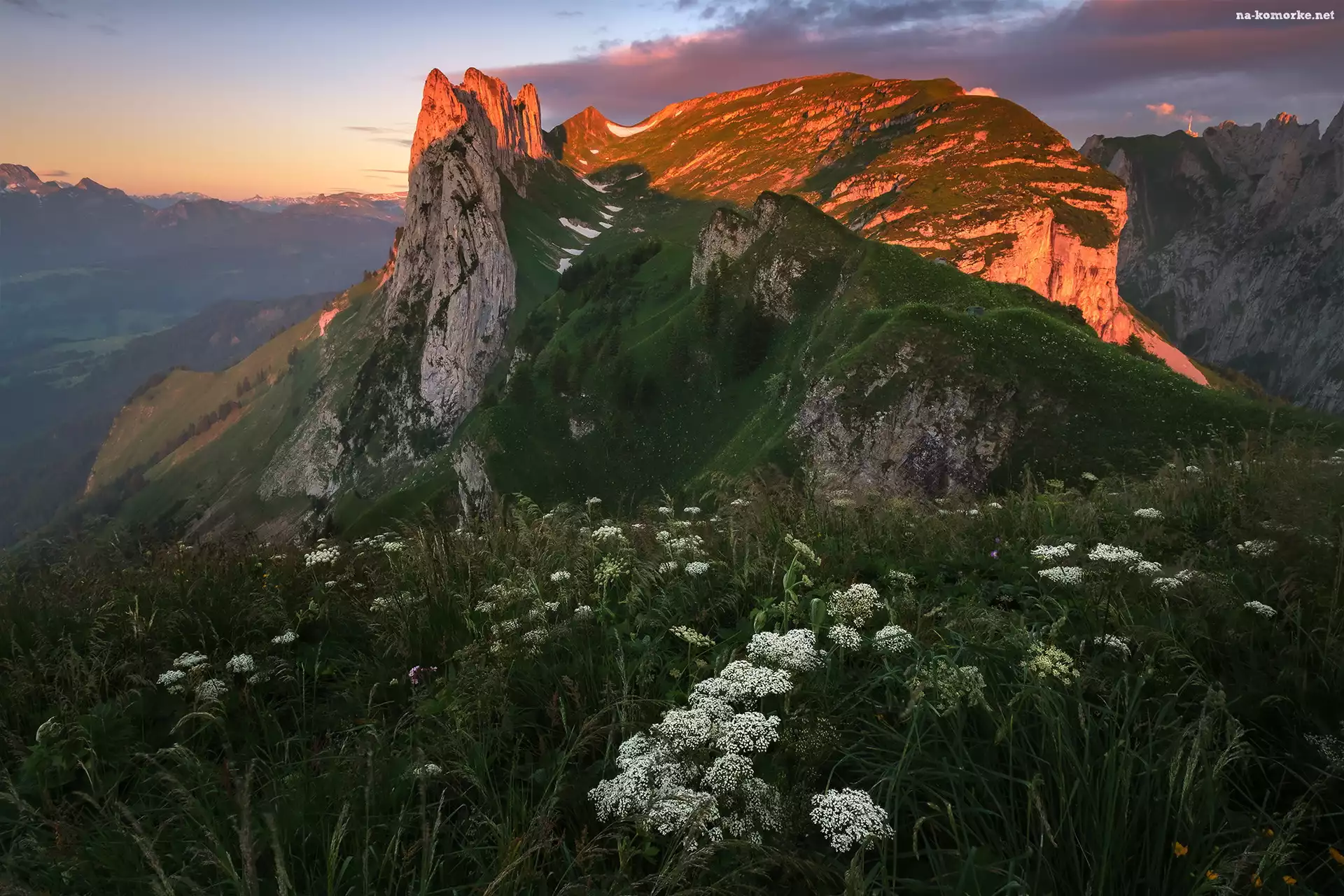 Góry, Łąka, Szwajcaria, Alpy, Appenzeller Alpen, Rozświetlony, Szczyt