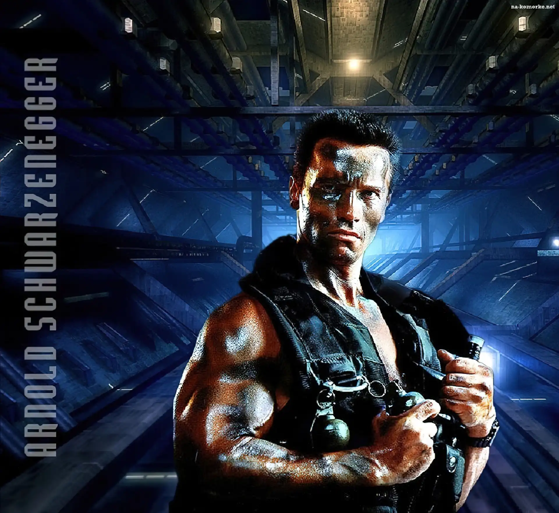 Aktor, Kamuflaż, Arnold Schwarzenegger, Muskuły