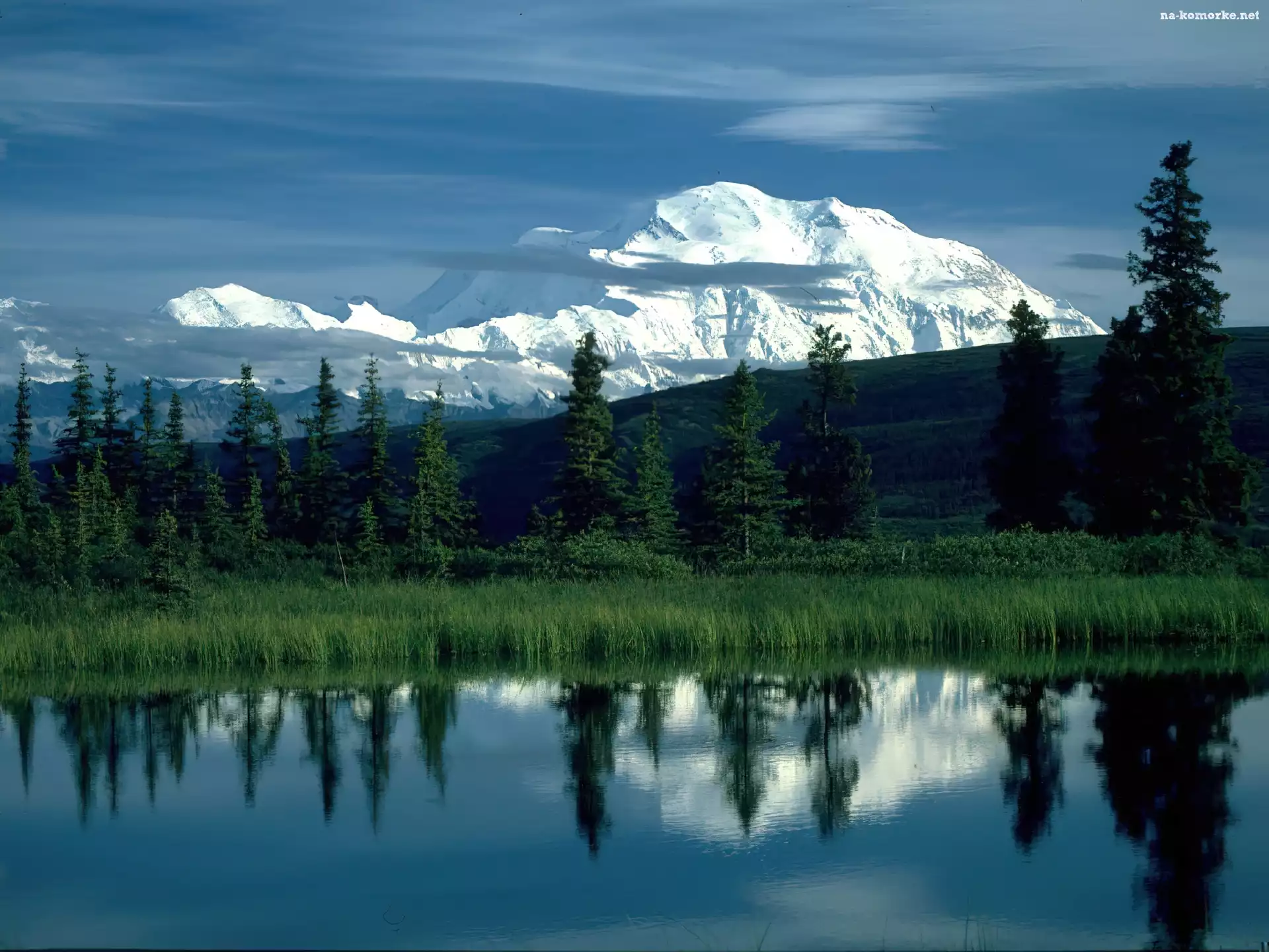 Alaska, Jezioro, Drzewa, Góra, McKinley