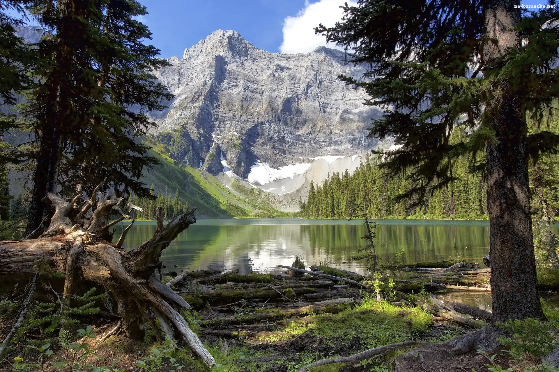Góry, Alberta, Jezioro Rawson, Drzewa, Kanada, Lasy