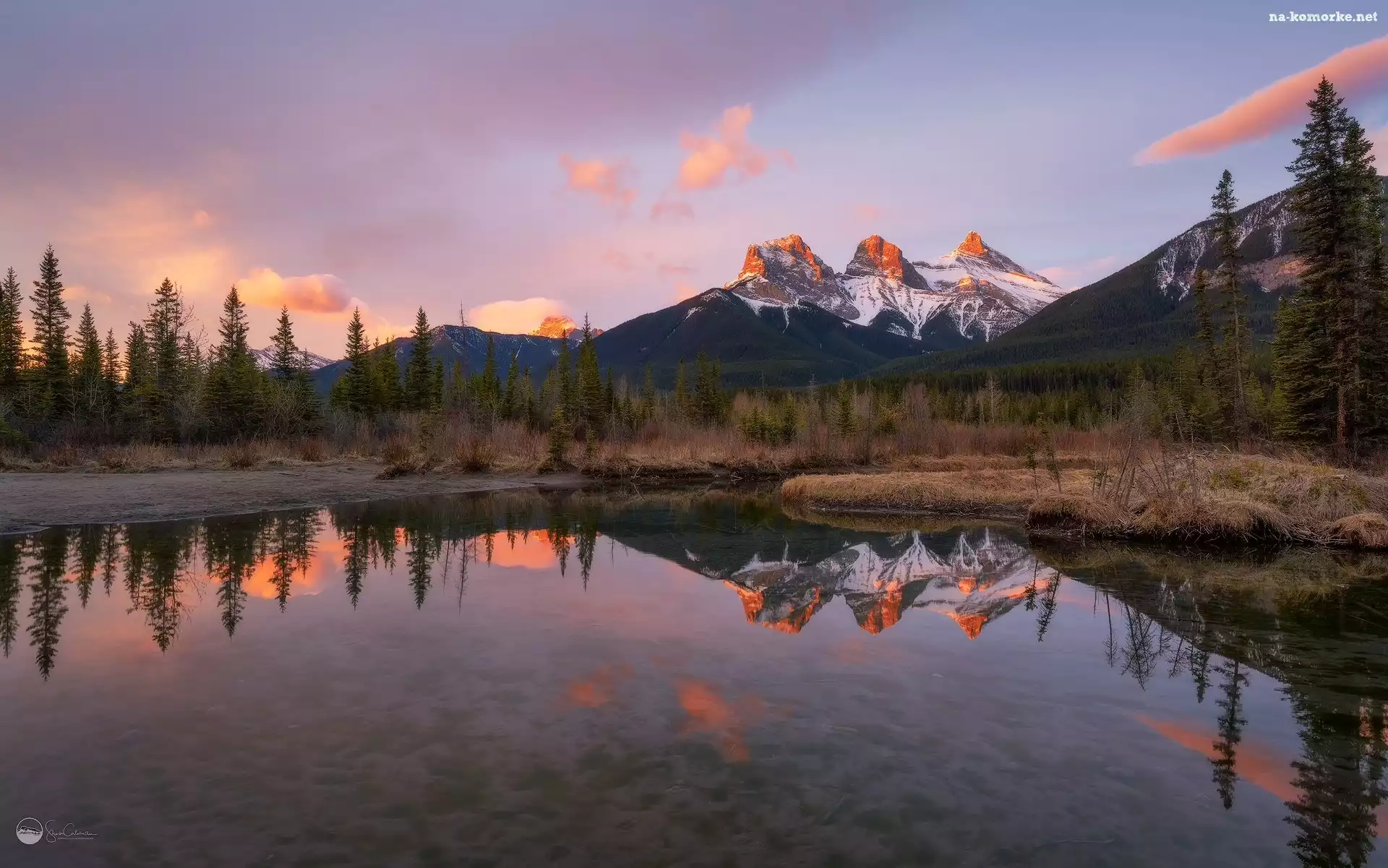 Bow River, Rzeka, Alberta, Three Sisters, Canmore, Kanada, Canadian Rockies, Góra, Góry, Drzewa