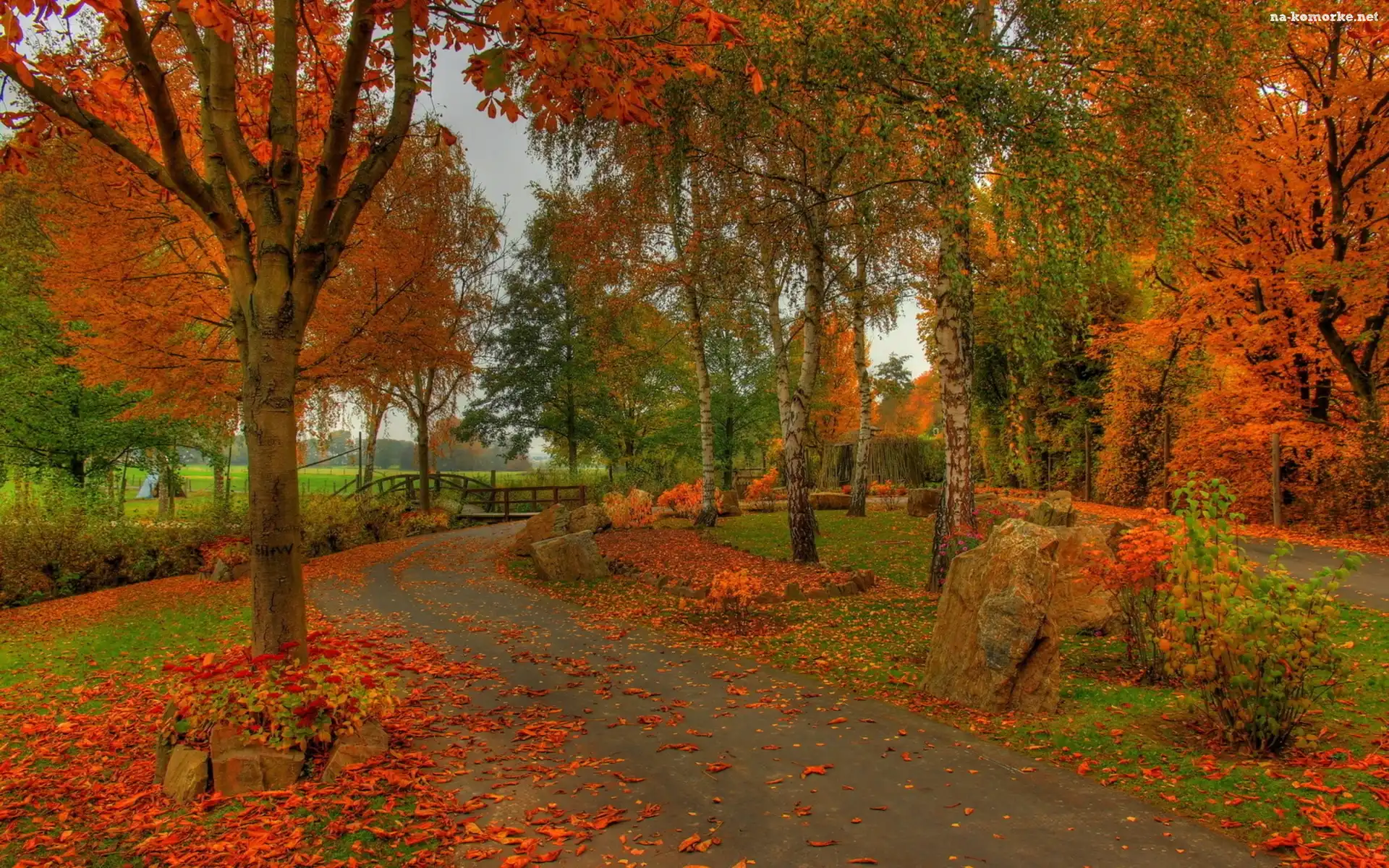 Aleja, Rzeka, Park, Jesień, Mostek, Liście