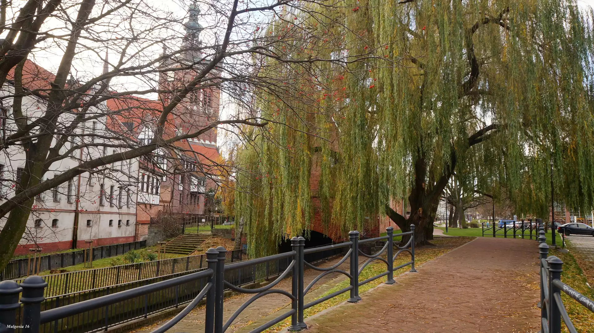 Alejka, Zabytkowe, Gdańsk, Wierzba, Kamienice, Drzewa