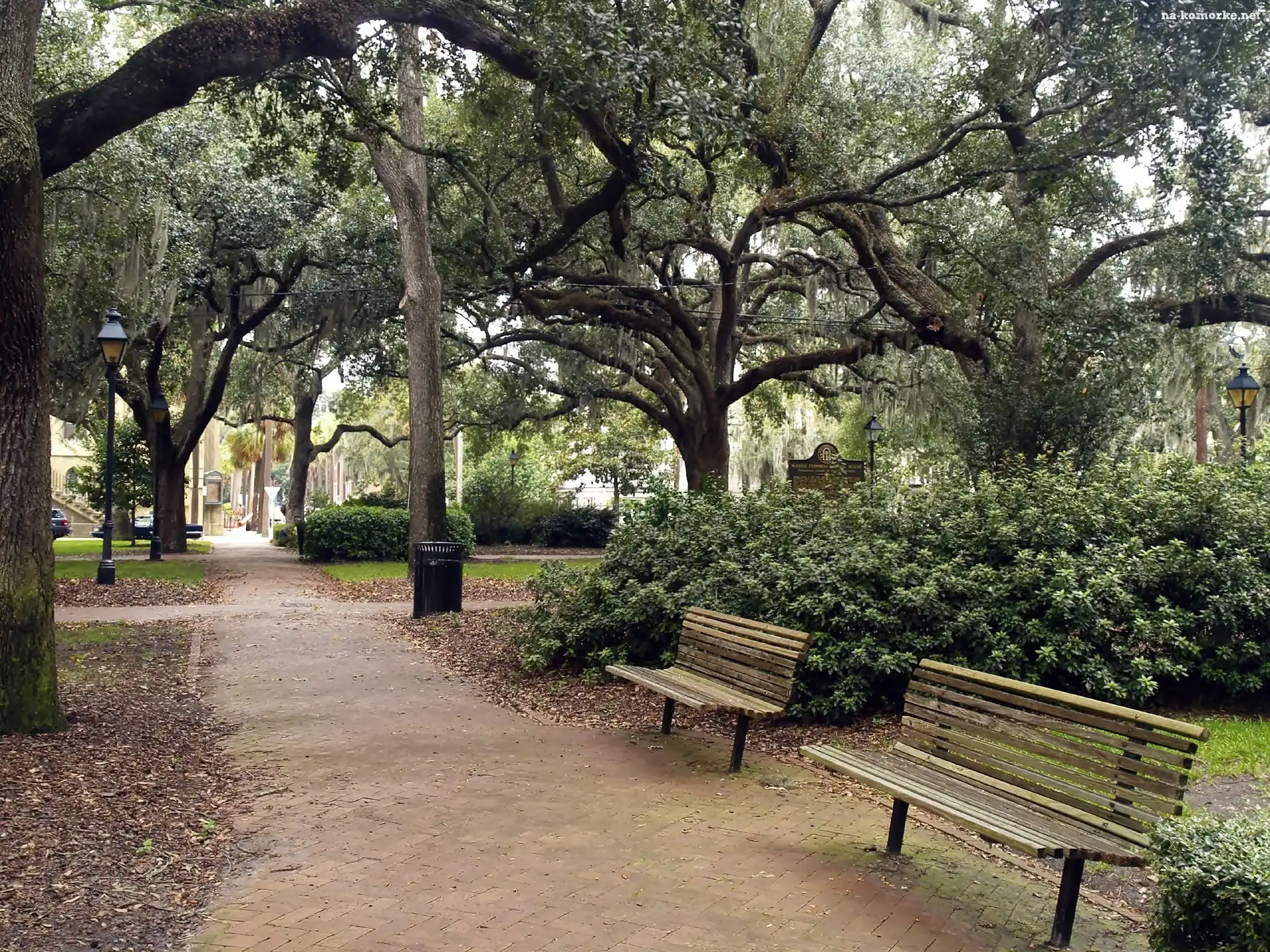 Park, Alejka, Ławeczki