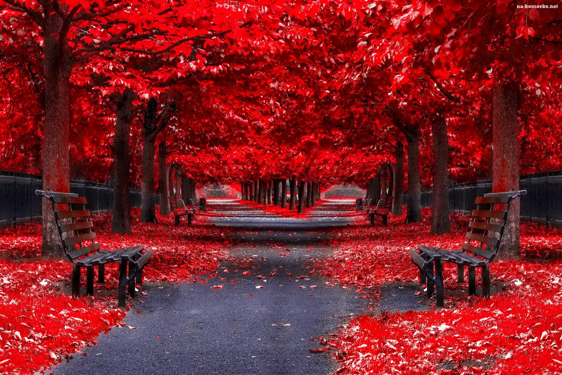 Park, Alejki, Ławki