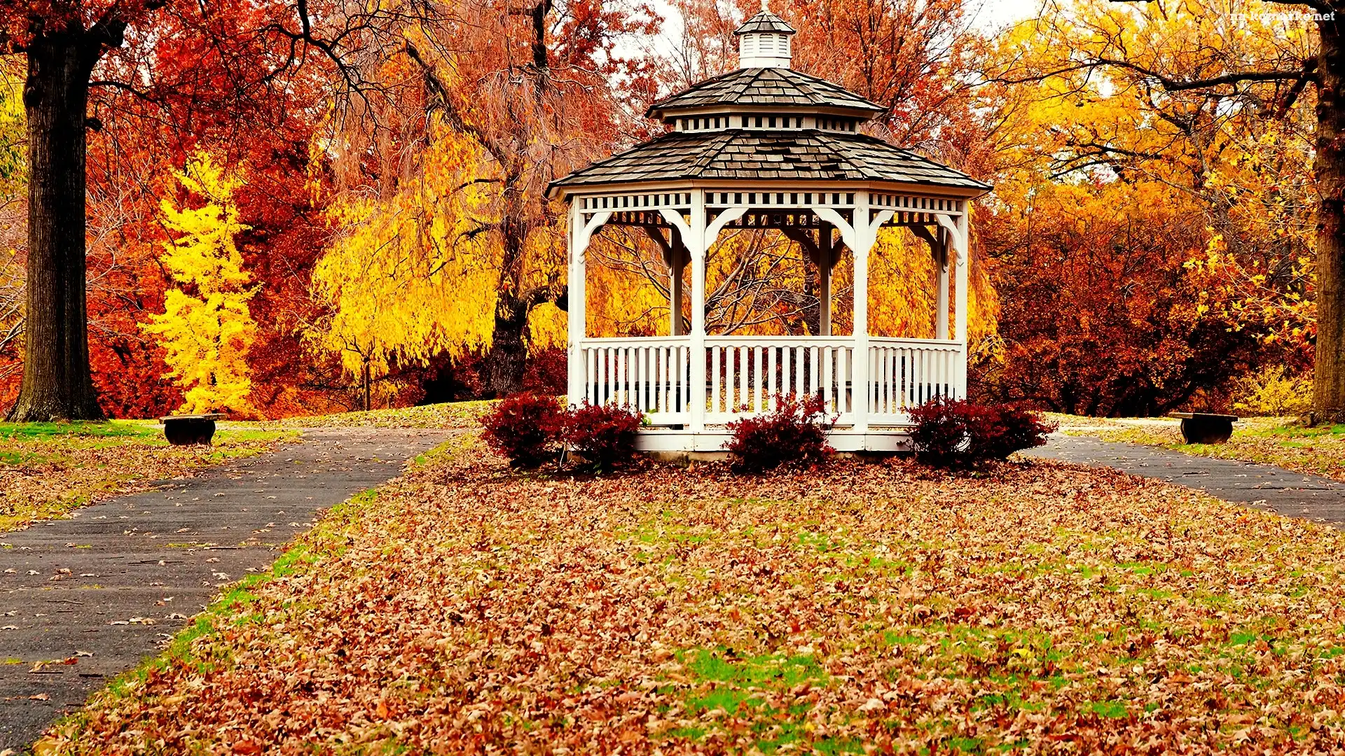Park, Altana, Jesień