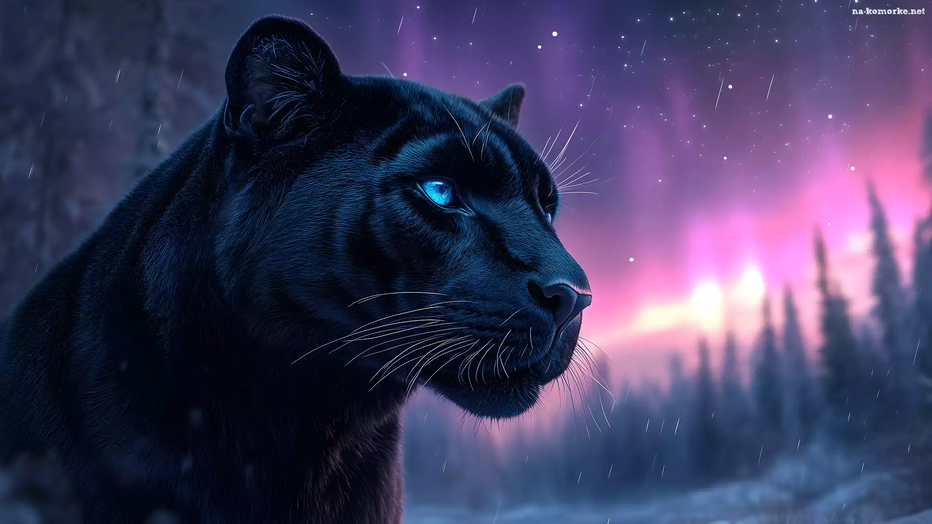 Jaguar amerykański, Głowa, Czarna pantera