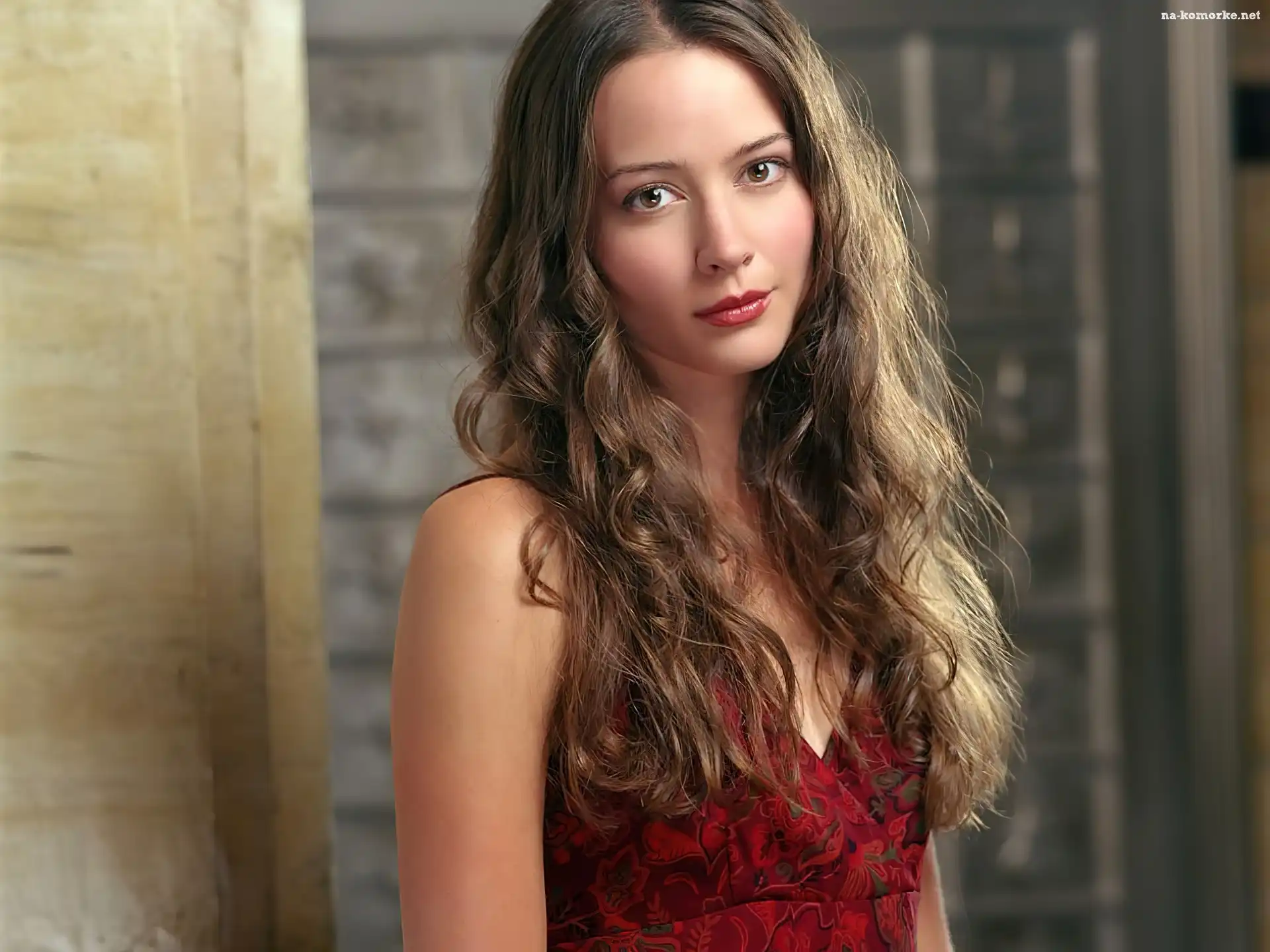 Amy Acker, Bluzka, Aktorka, Czerwona