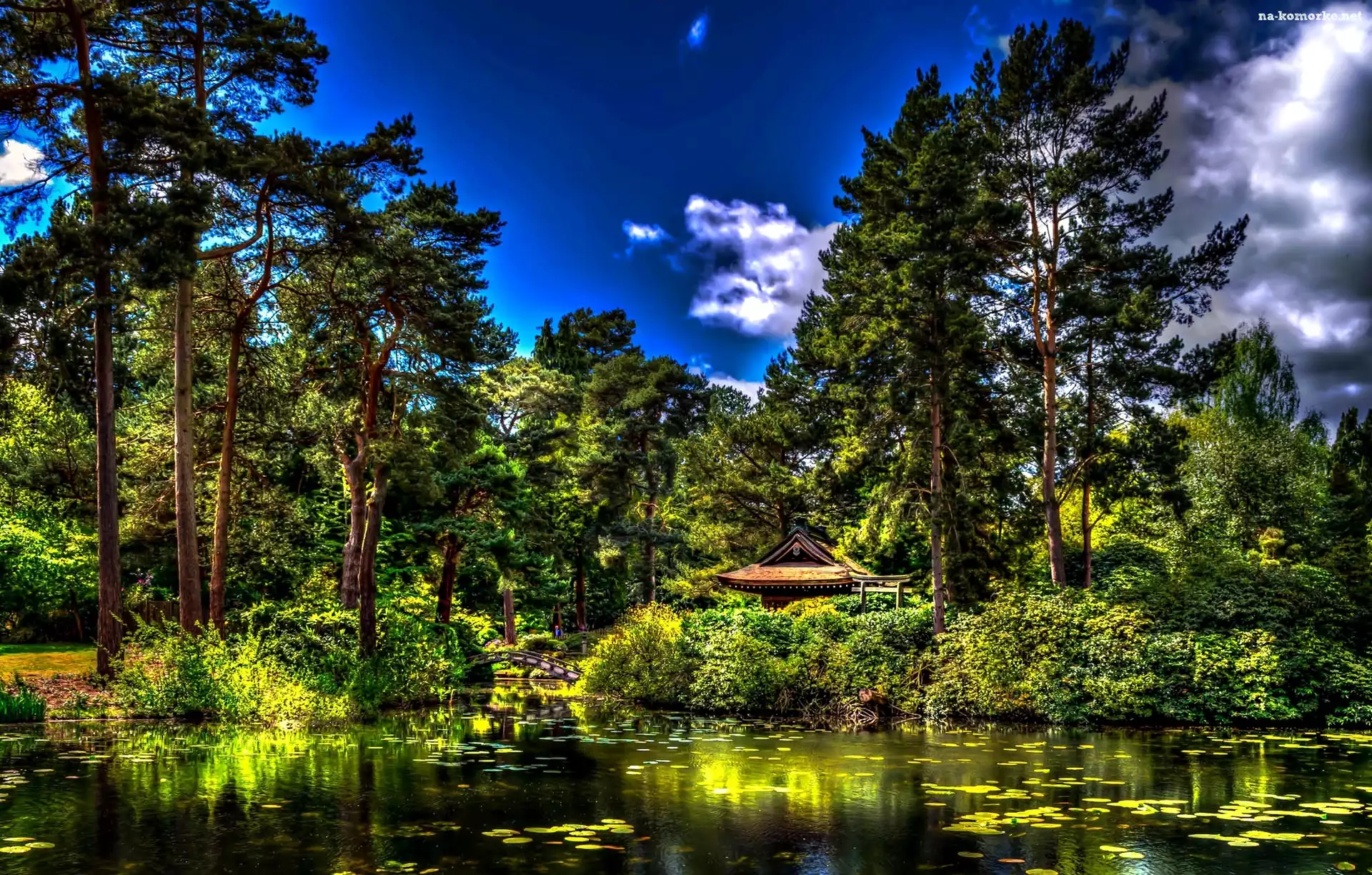 Park, Anglia, Staw, Mostek