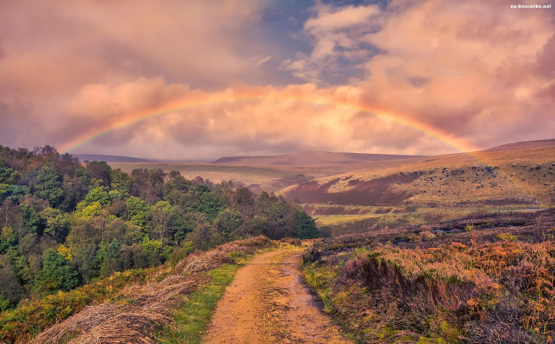 Park Narodowy Peak District, Anglia, Tęcza, Dolina Longdendale, Drzewa, Hrabstwo Derbyshire, Las, Wzgórza, Droga