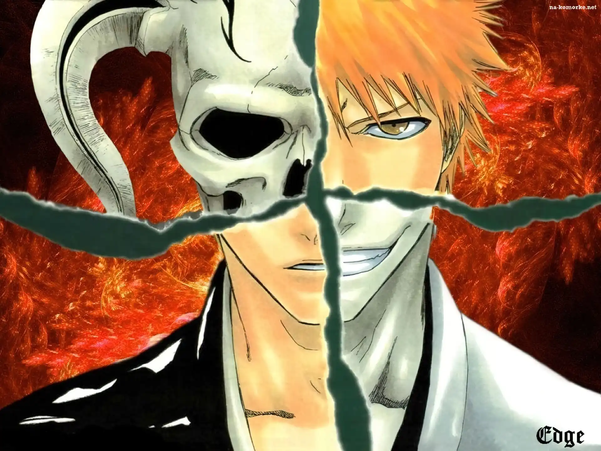 Hollow, Bleach, Anime