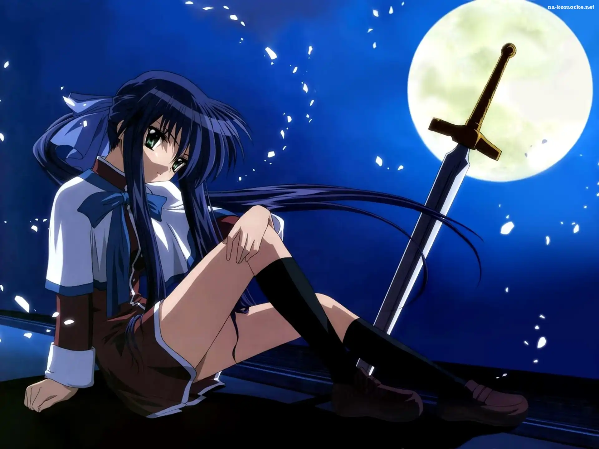 Anine, Sword Art Online