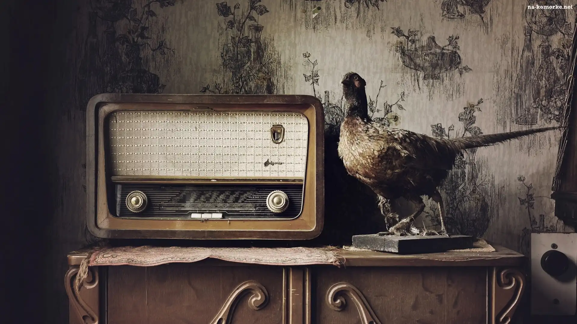 Antyk, Dekoracja, Bażant, Stare, Radio