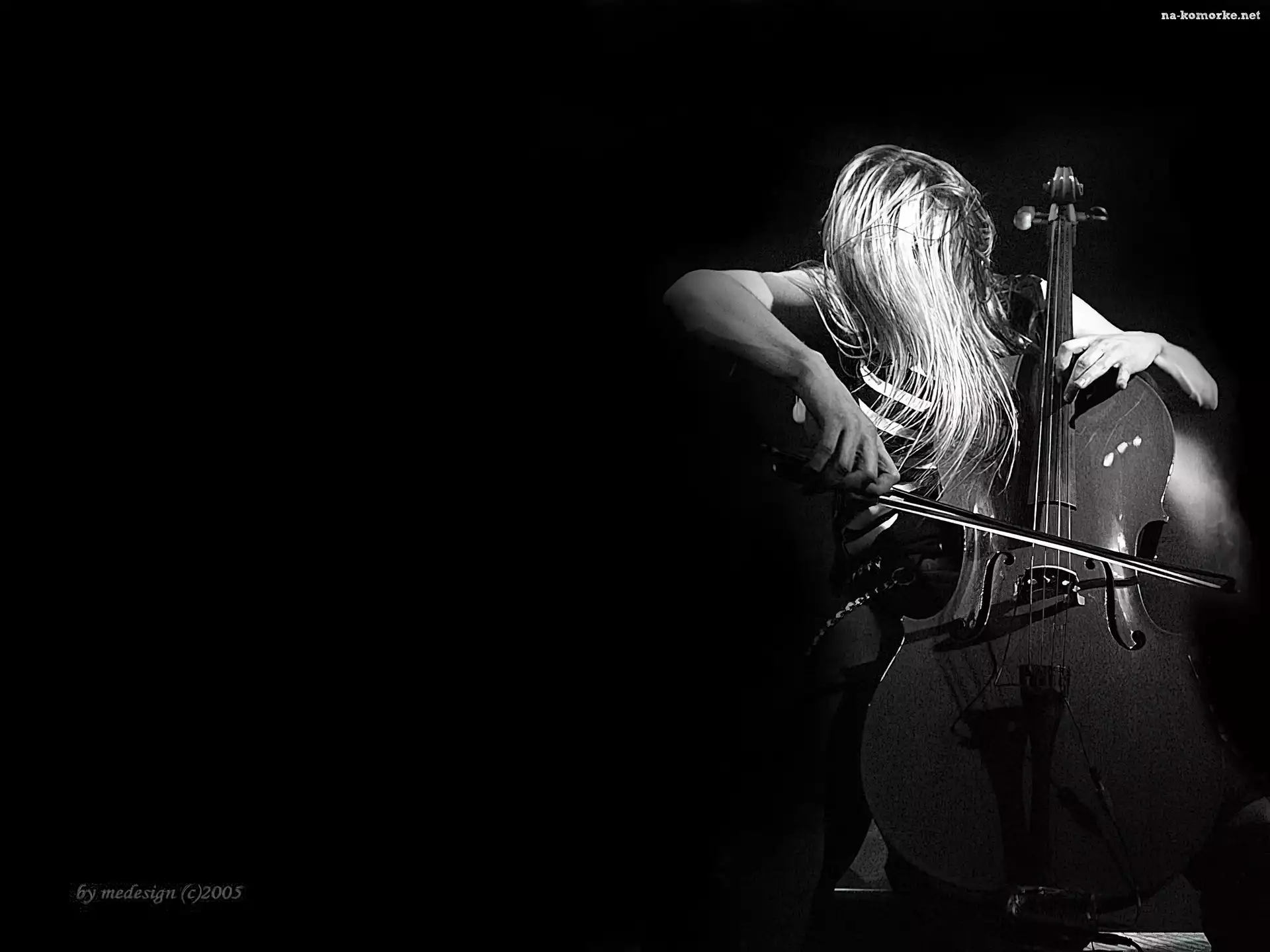 Apocalyptica, wiolonczela