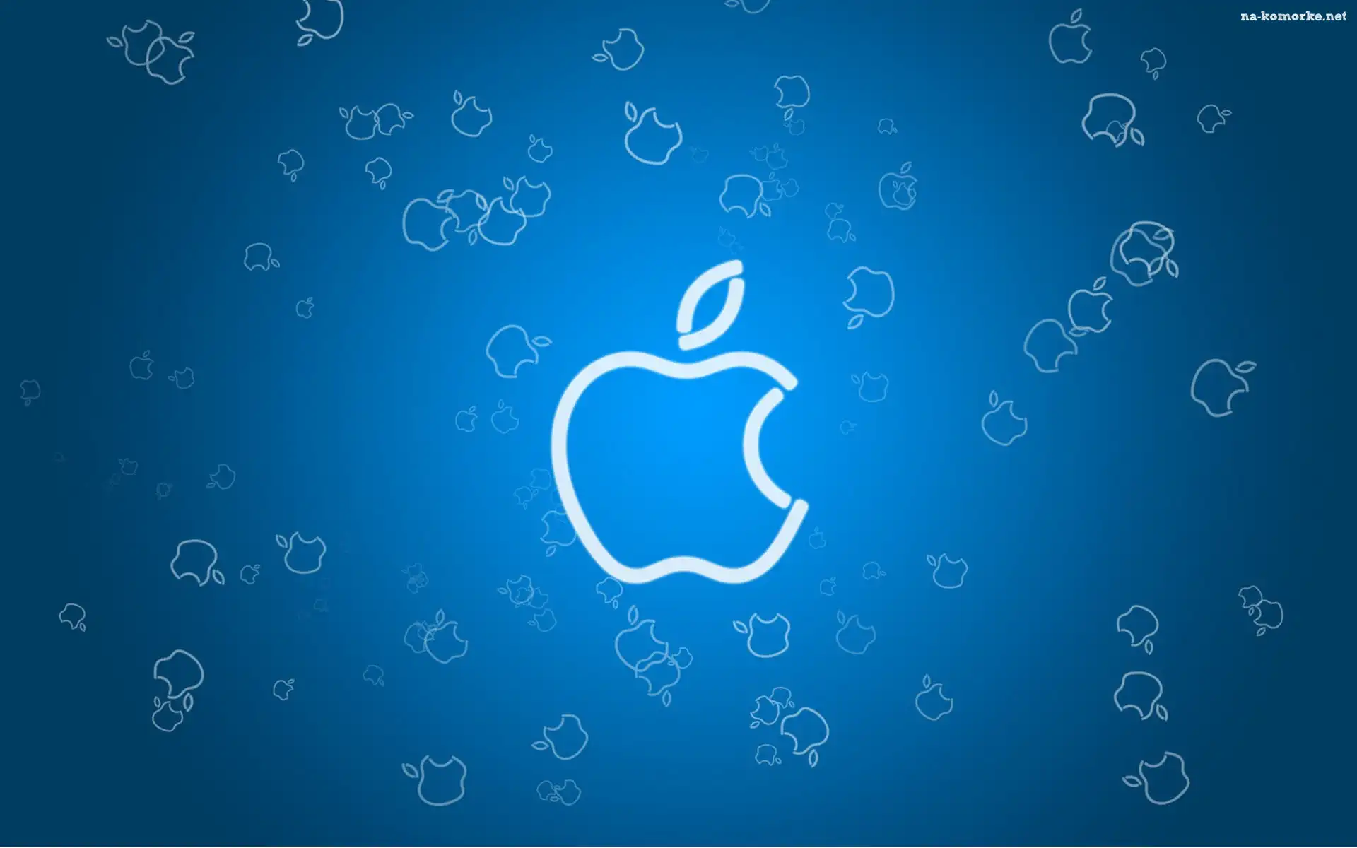 Apple, iBook