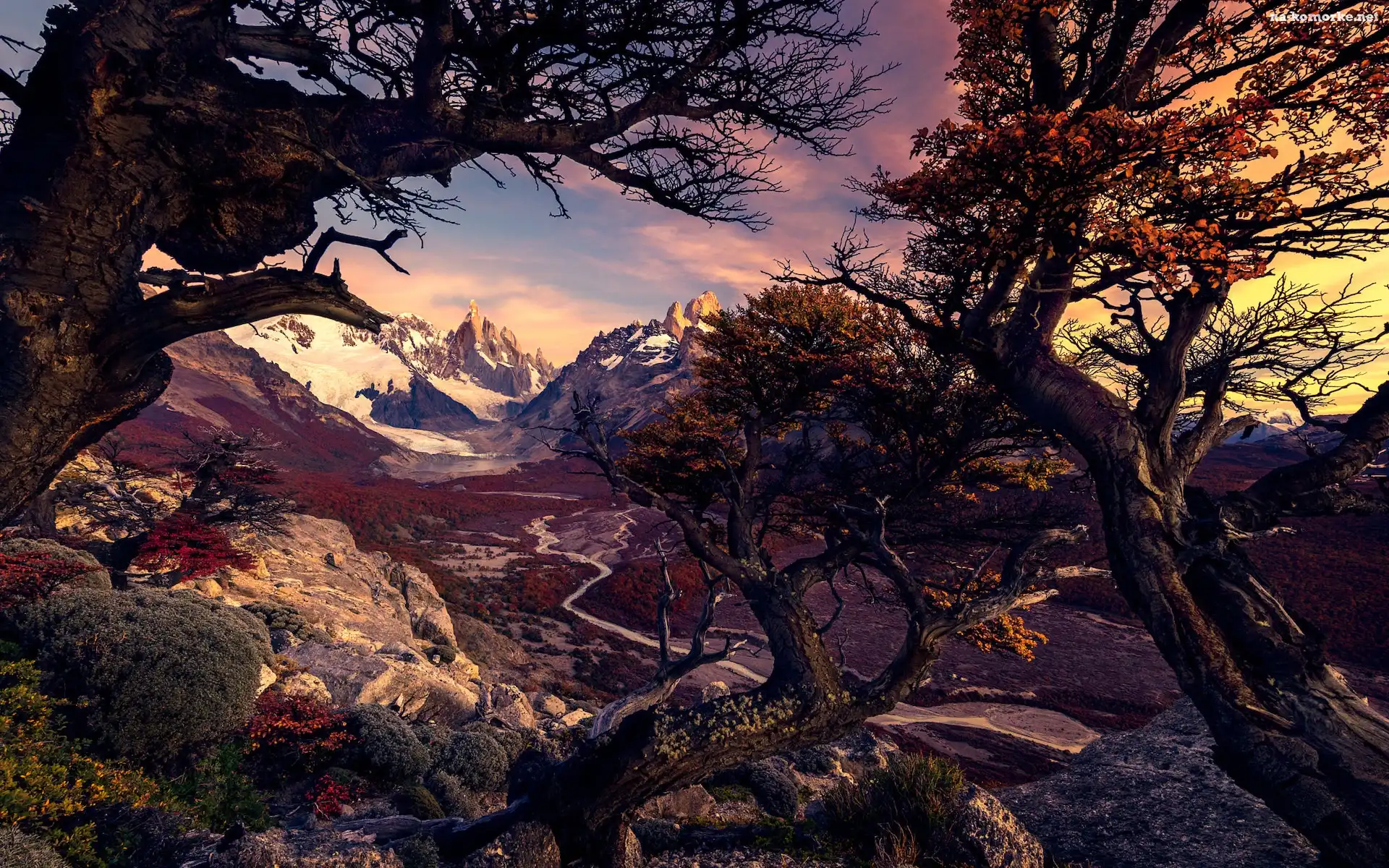 Góry, Droga, Park Narodowy Los Glaciares, Argentyna, Drzewa, Jesień, Andy, Patagonia