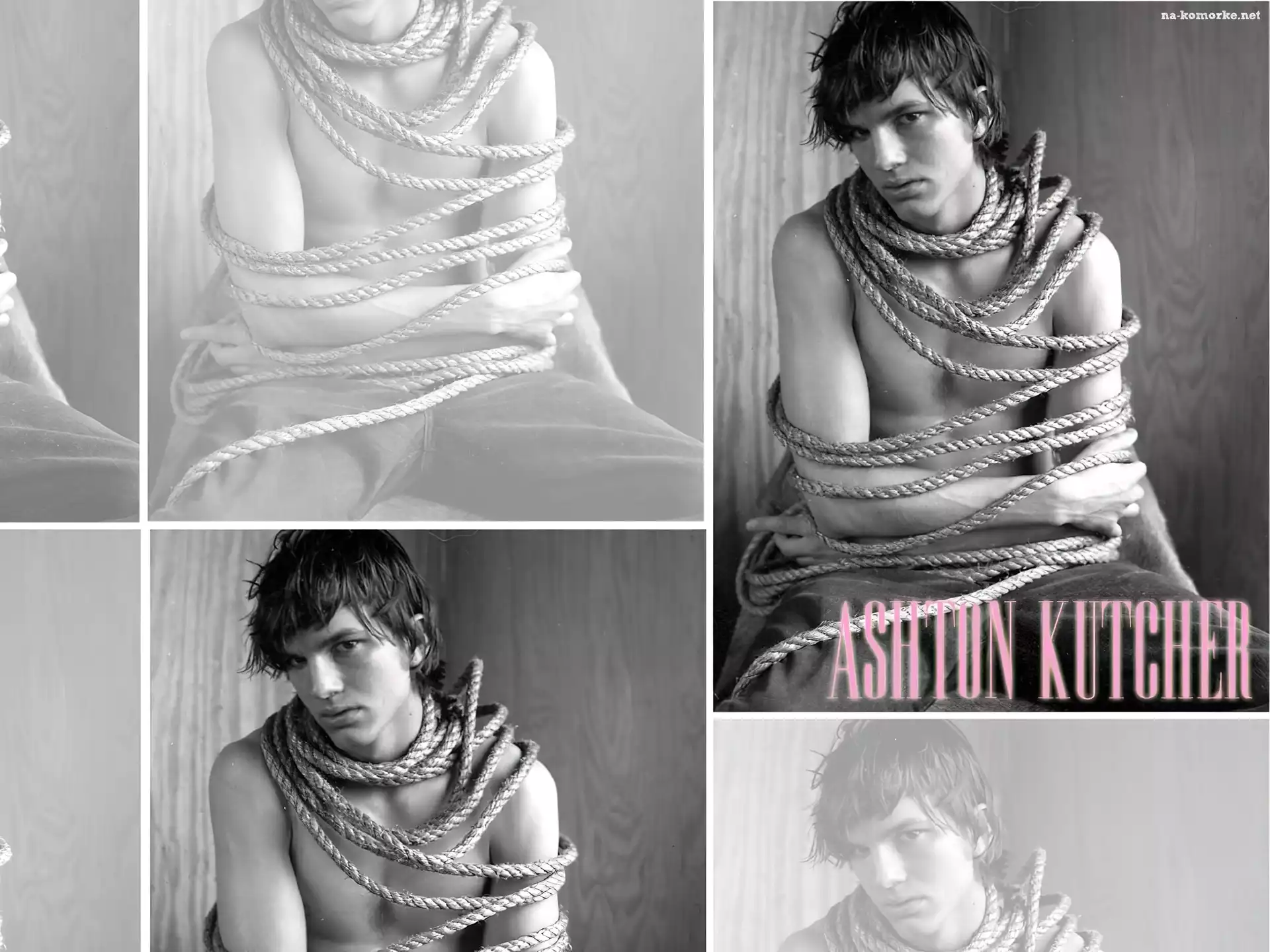 Ashton Kutcher, lina, włosy