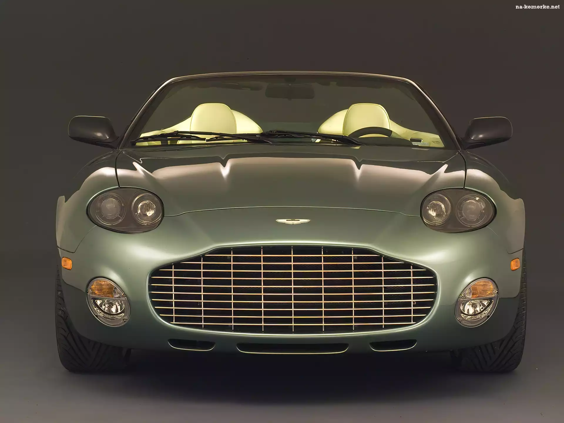 Aston Martin DB AR1, Atrapa, Chłodnica