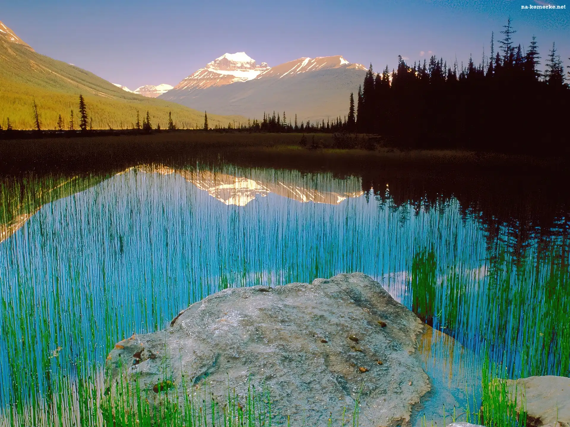 Góra, Athabasca, Kanada