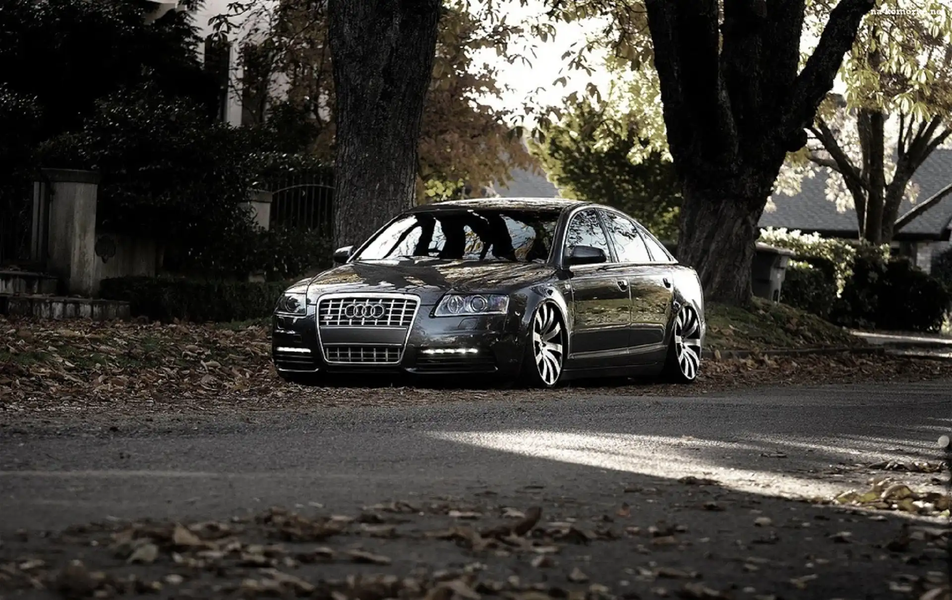 Audi, Liście, A6, Drzewa