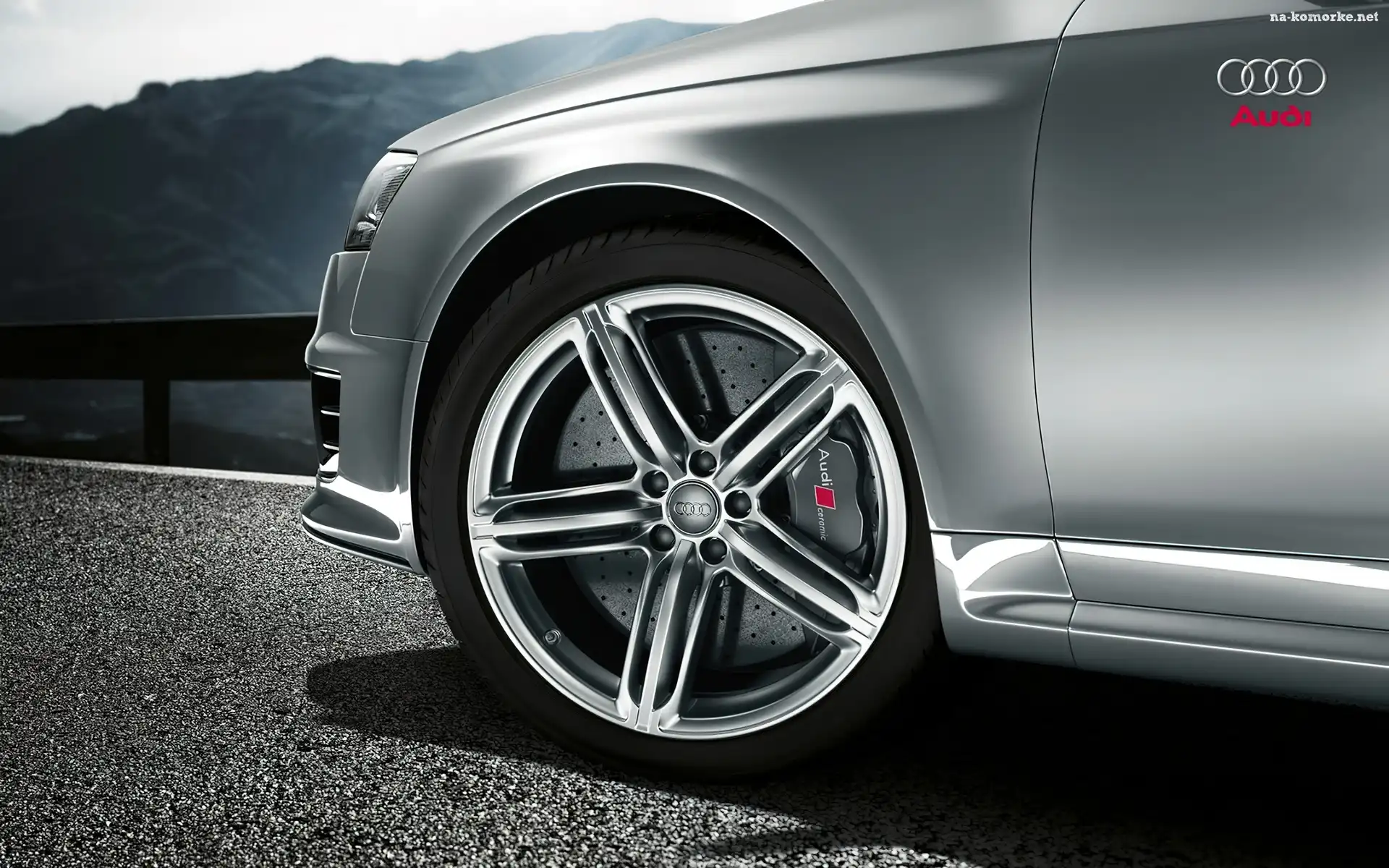 Audi RS, Tarcza, Hamulcowa