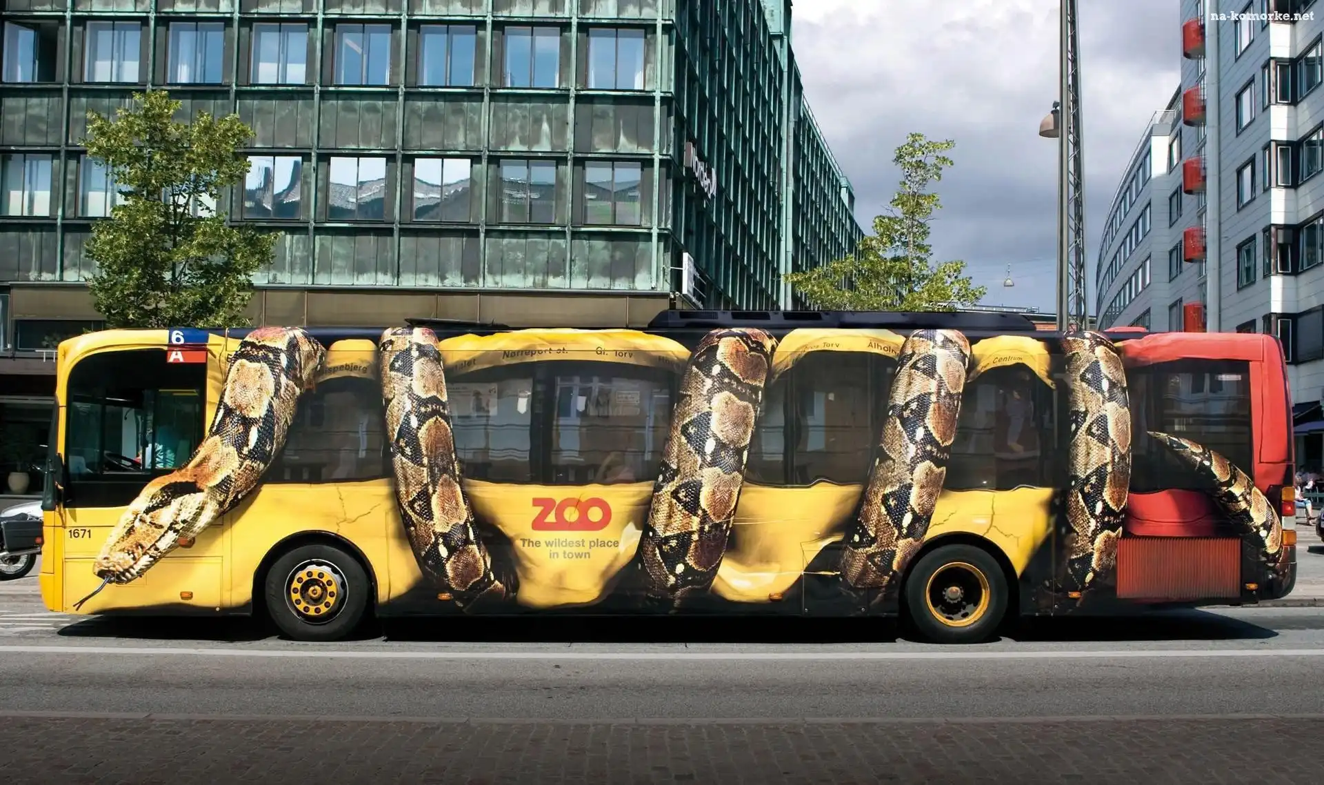 Autobus, Wąż, Ulica, Drzewa