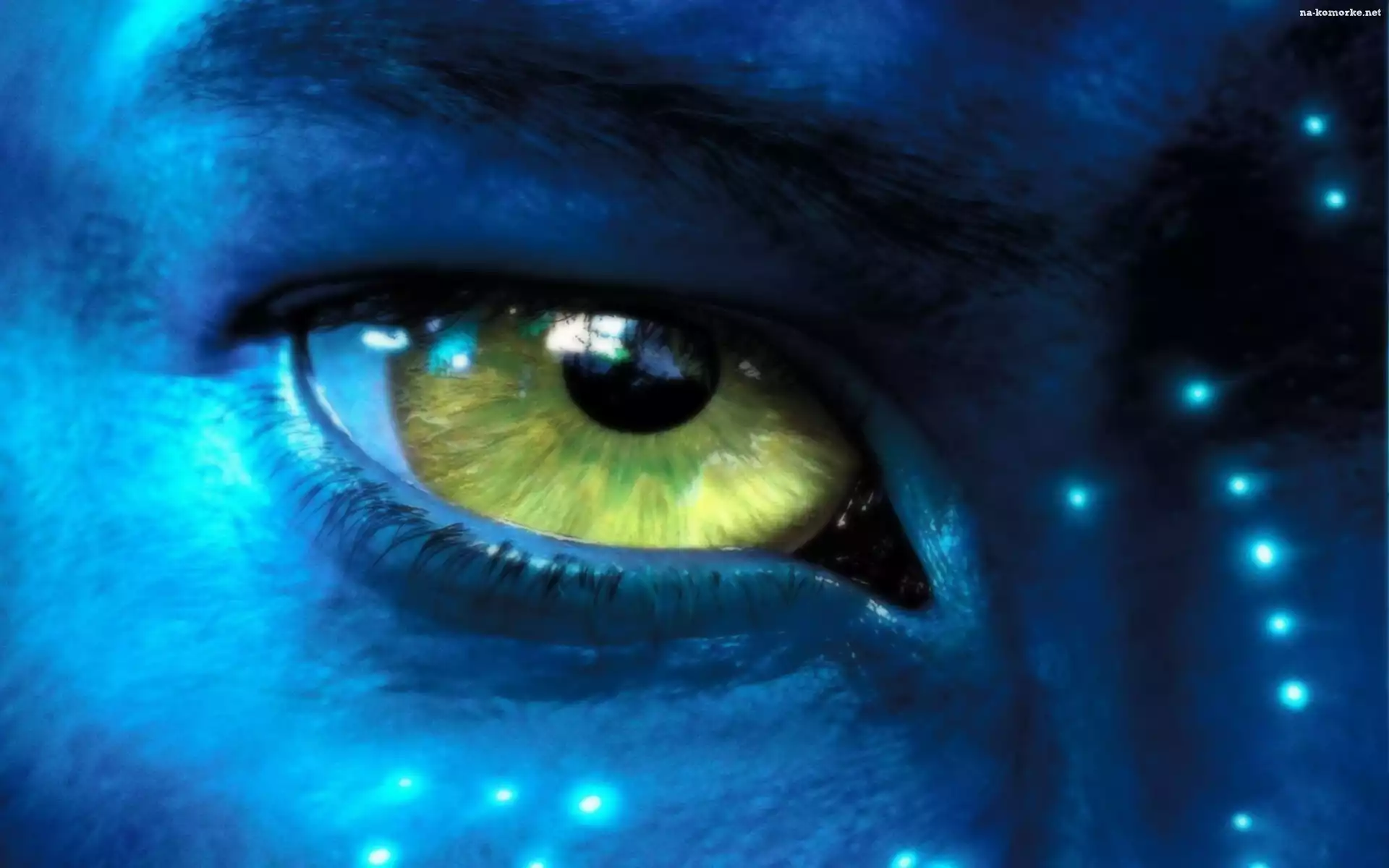 Avatar, Oko