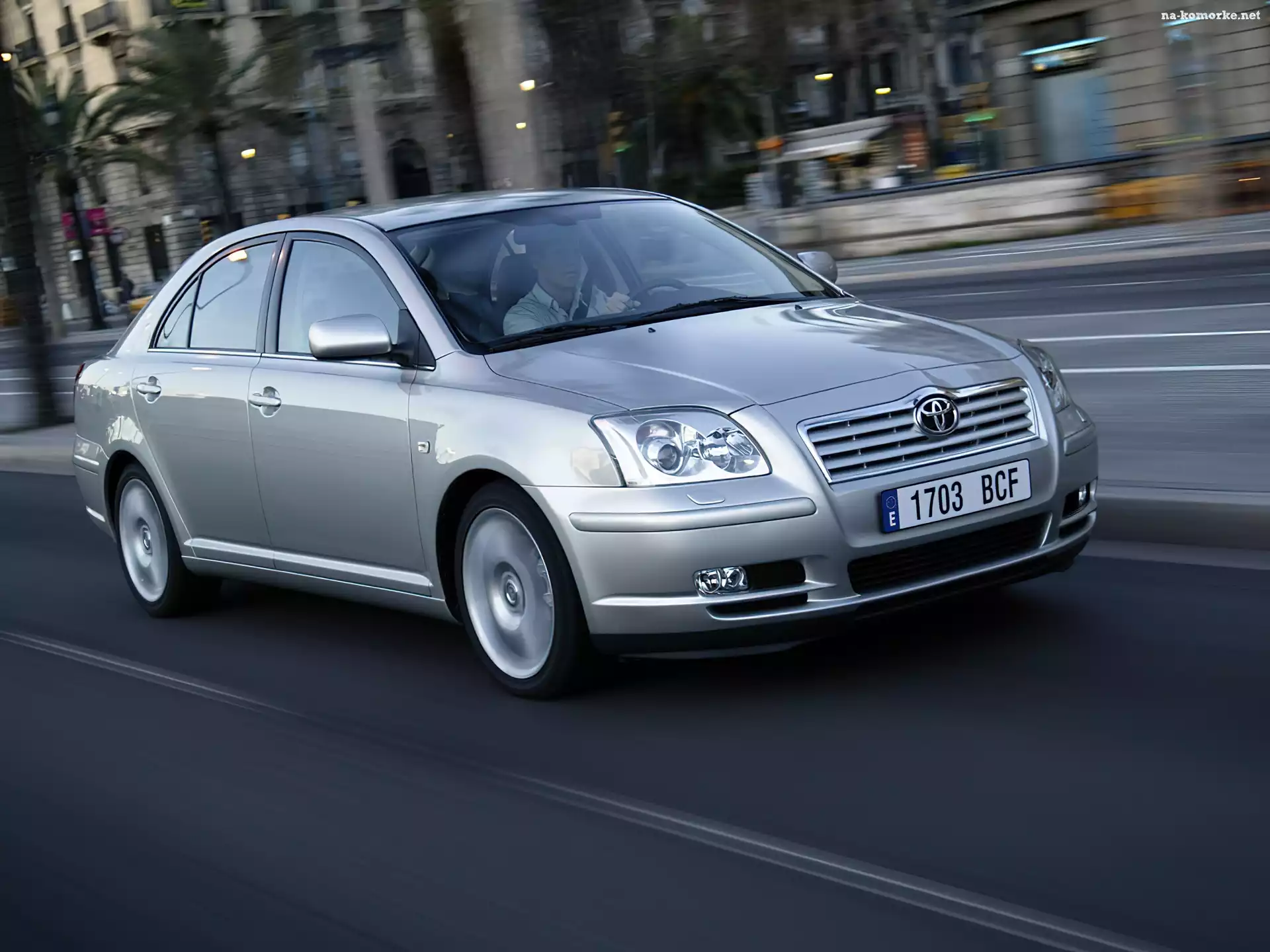 Avensis