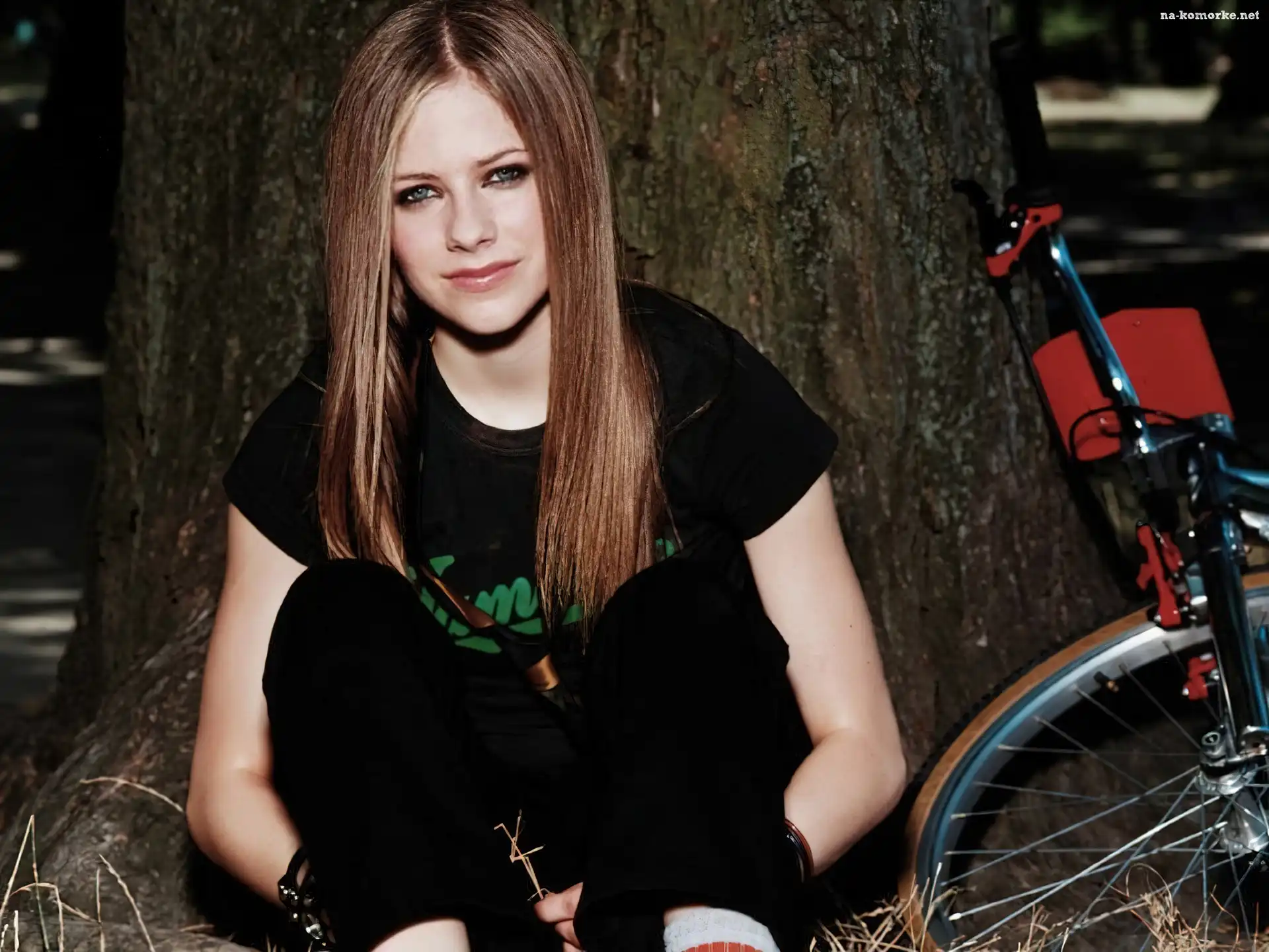 Avril Lavigne, Drzewo, Rower