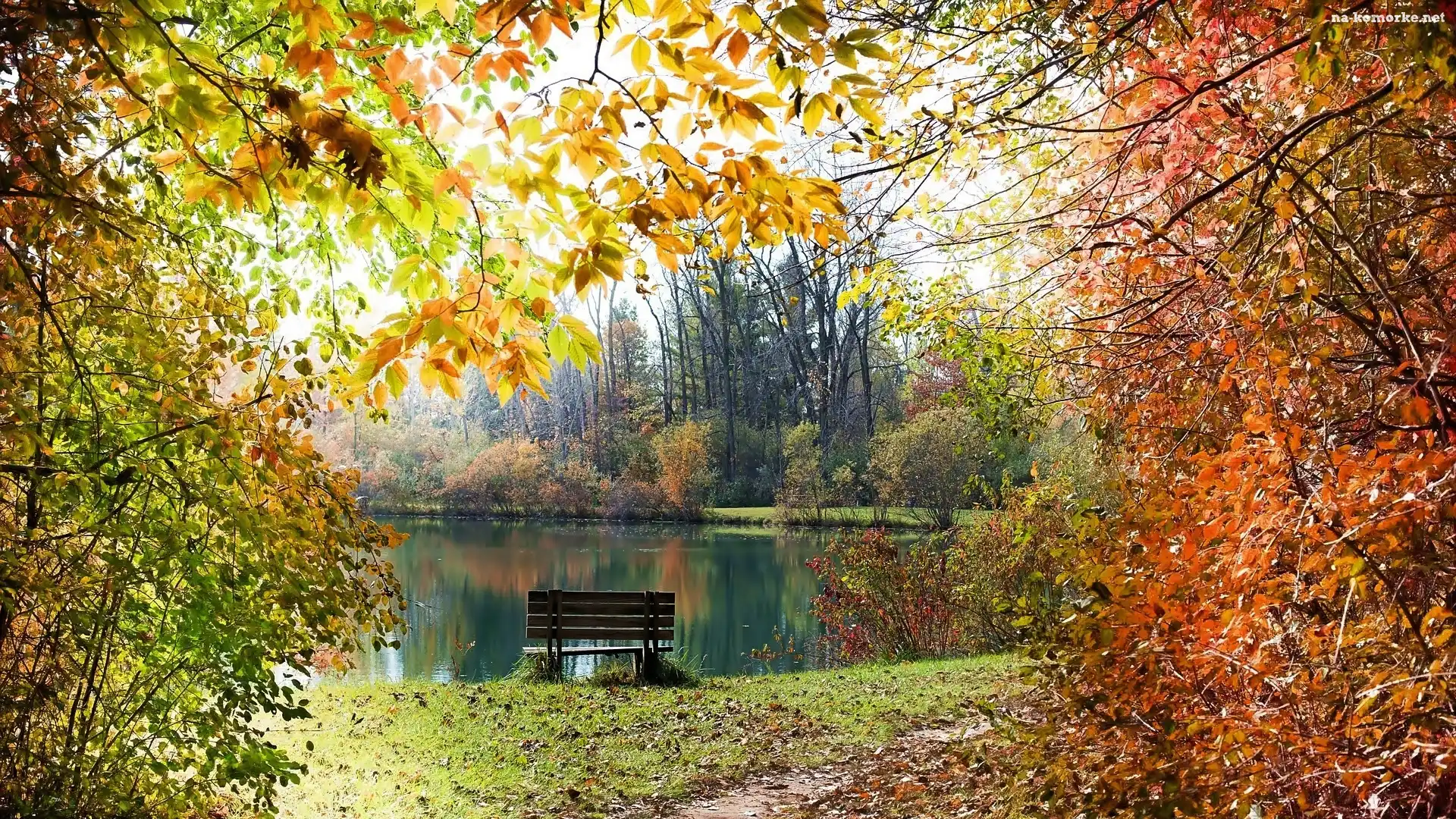 Ławka, Staw, Park, Jesień, Drzewa, Ścieżka