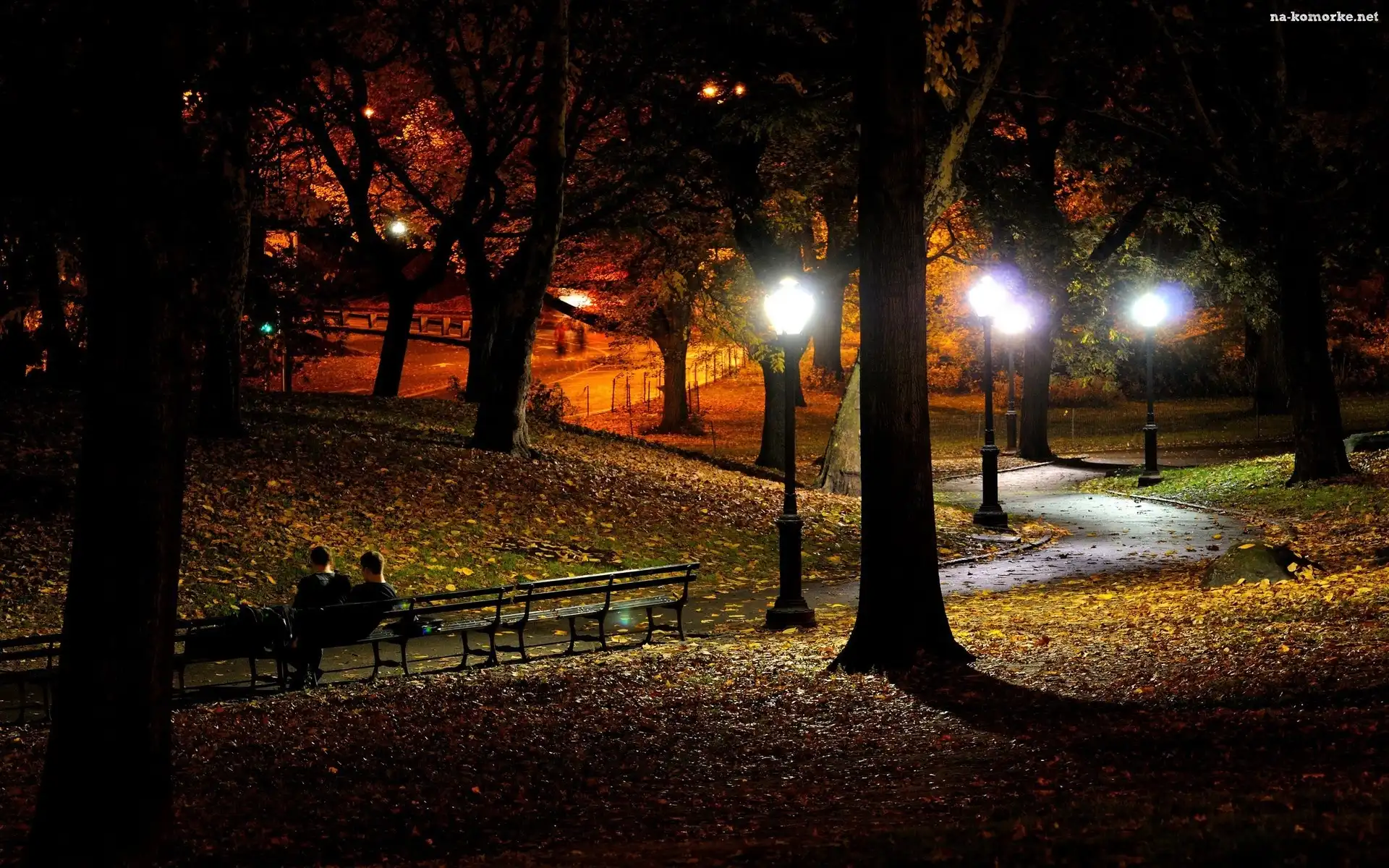 Ławka, Park, Jesień, Noc, Drzewa, Latarnie