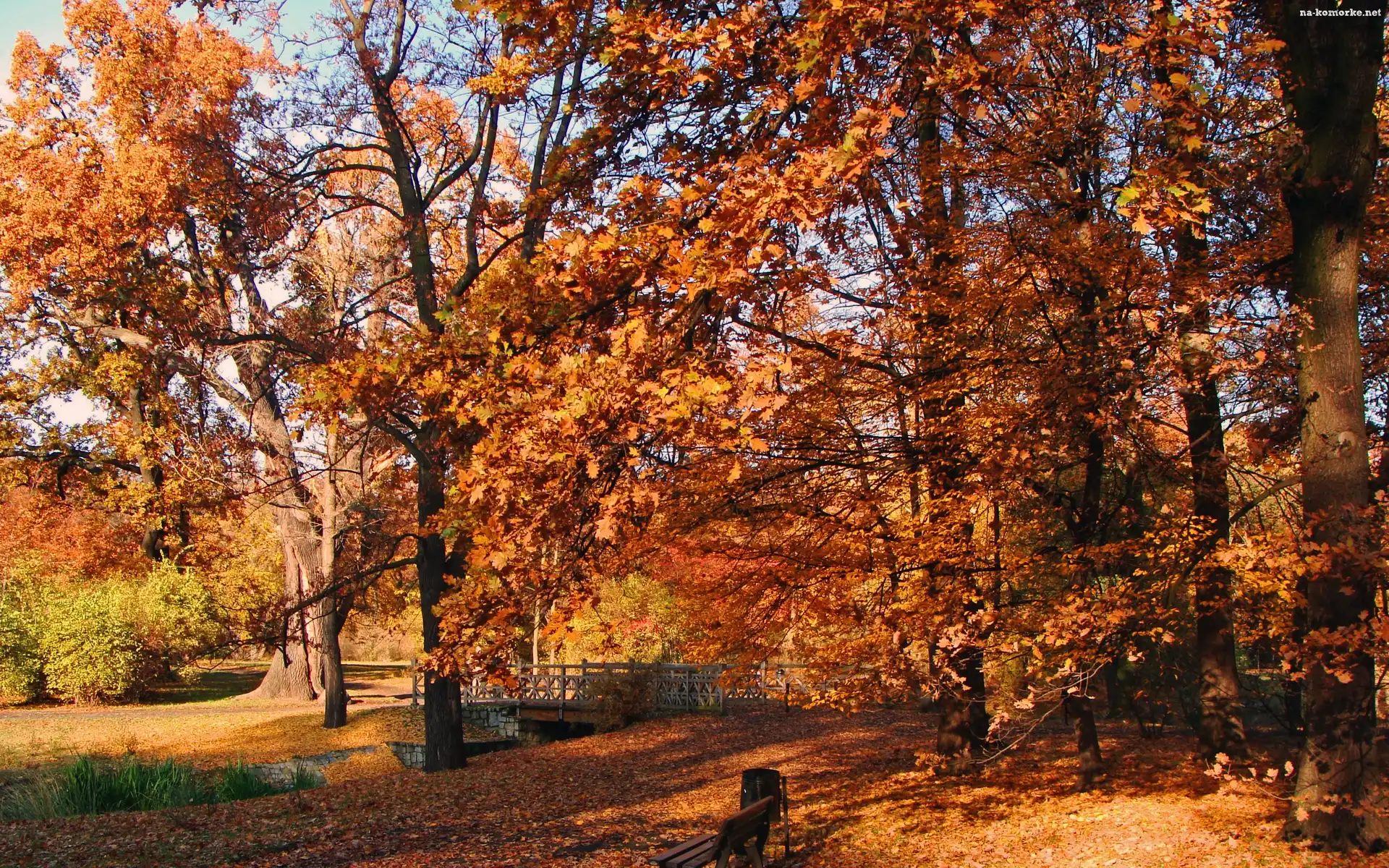 Ławka, Mostek, Rzeczka, Jesień, Alejki, Park