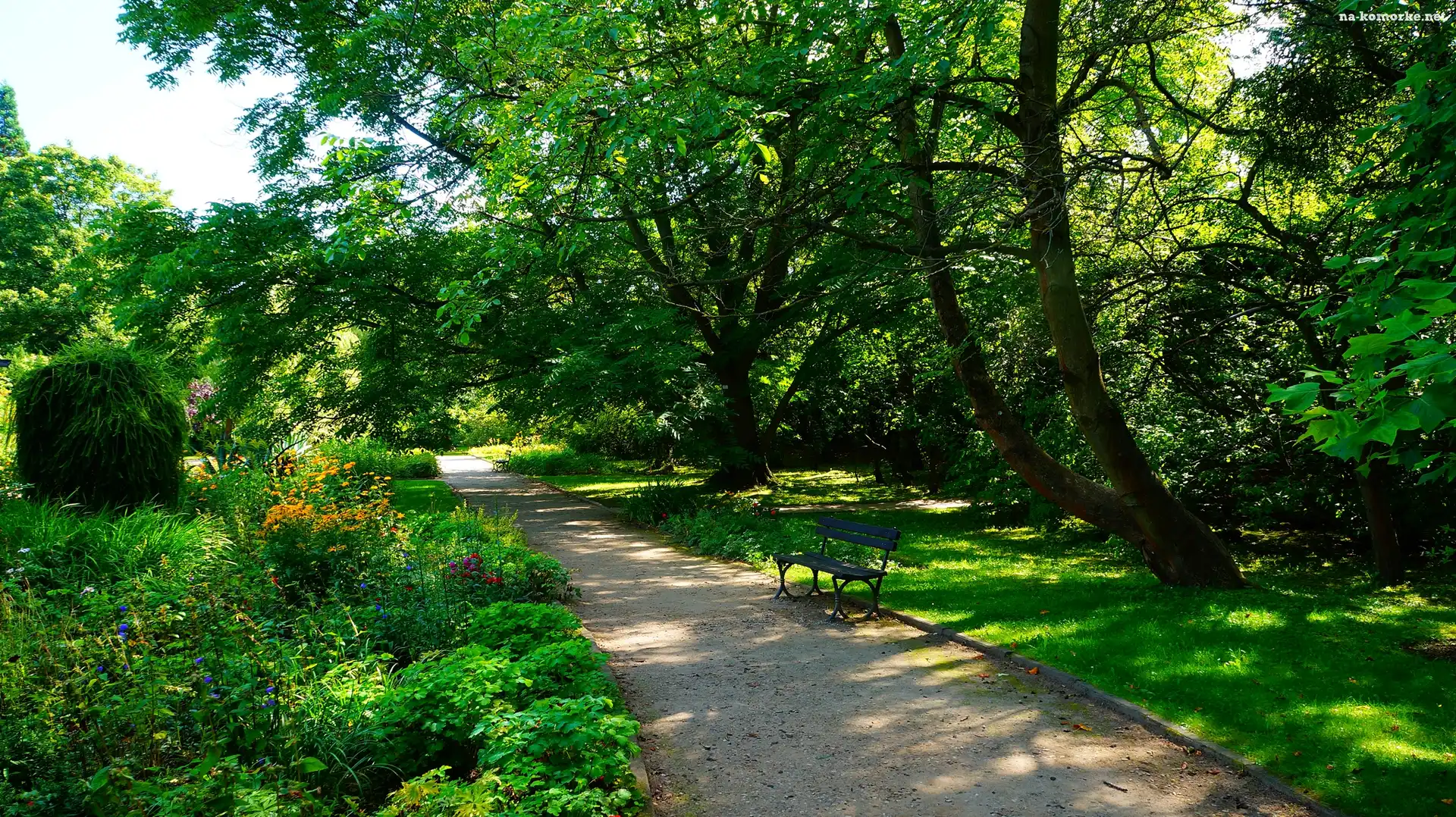 Alejka, Gdańsk, Polska, Roślinność, Park Oliwski im. Adama Mickiewicza, Ławka