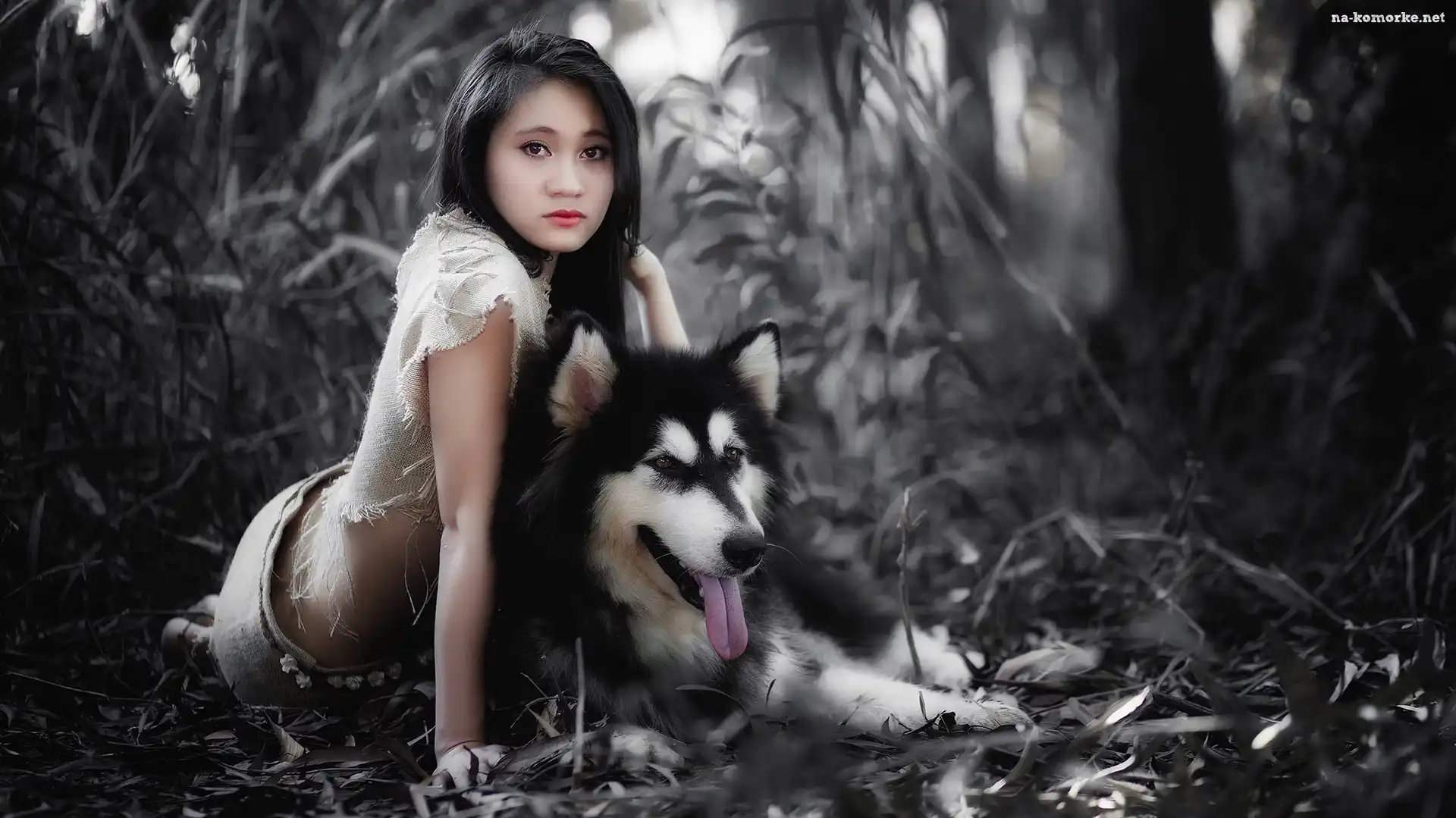 Rośliny, Azjatka, Kobieta, Tło, Alaskan Malamute, Rozmyte
