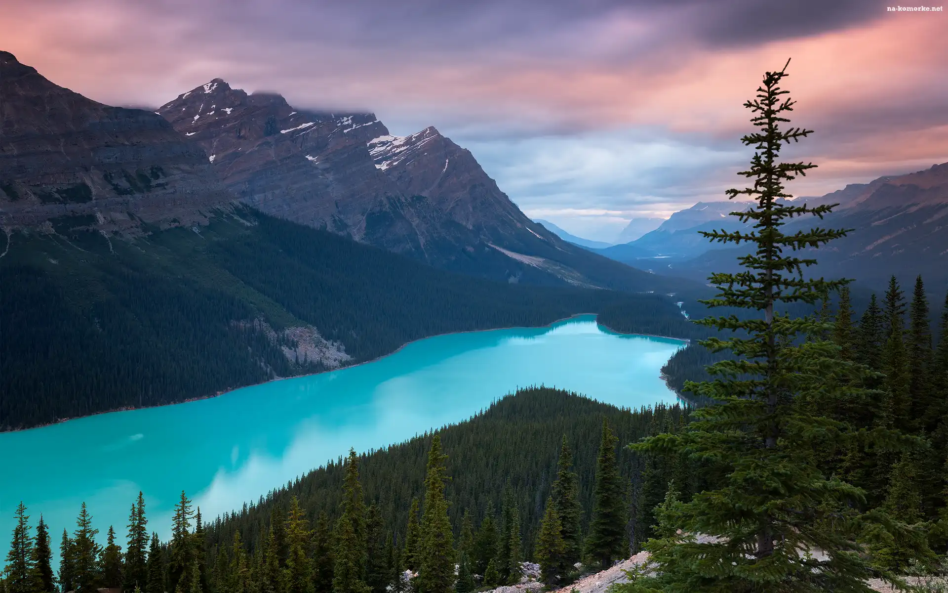 Jezioro Peyto Lake, Park Narodowy Banff, Kanada, Chmury, Góry Canadian Rockies, Las