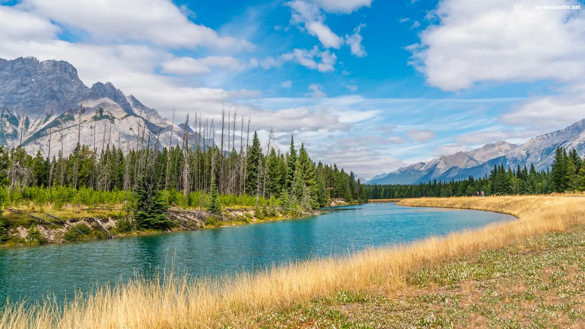 Góry, Alberta, Kanada, Rzeka, Las, Chmury, Park Narodowy Banff