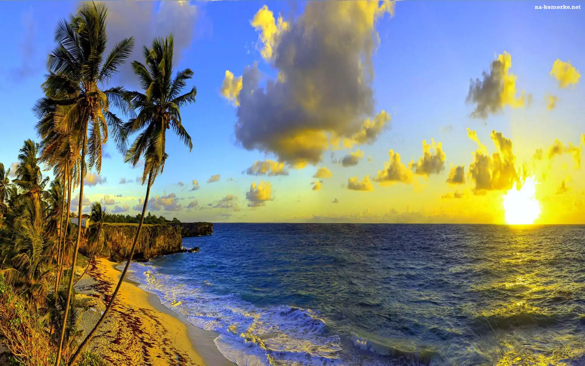 Barbados, Morze, Chmury, Palmy, Zachód Słońca