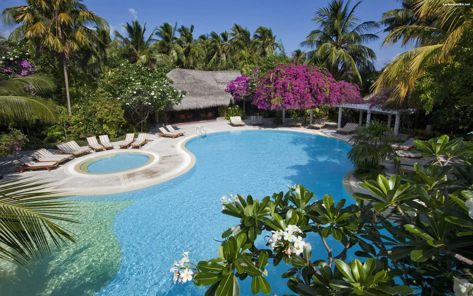 Hotel, Basen, Malediwy