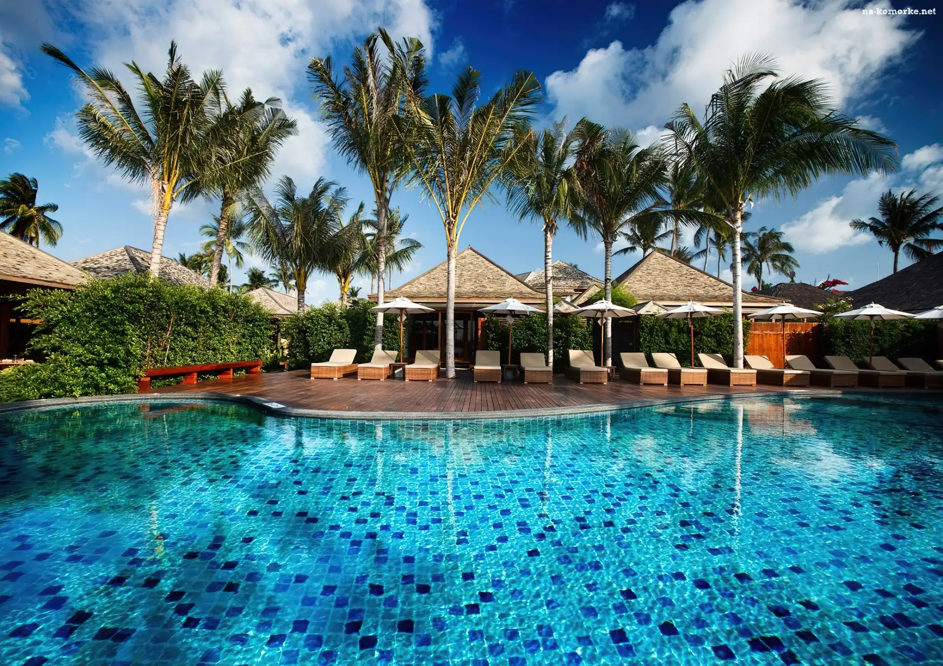 Hotel, Basen, Palmy