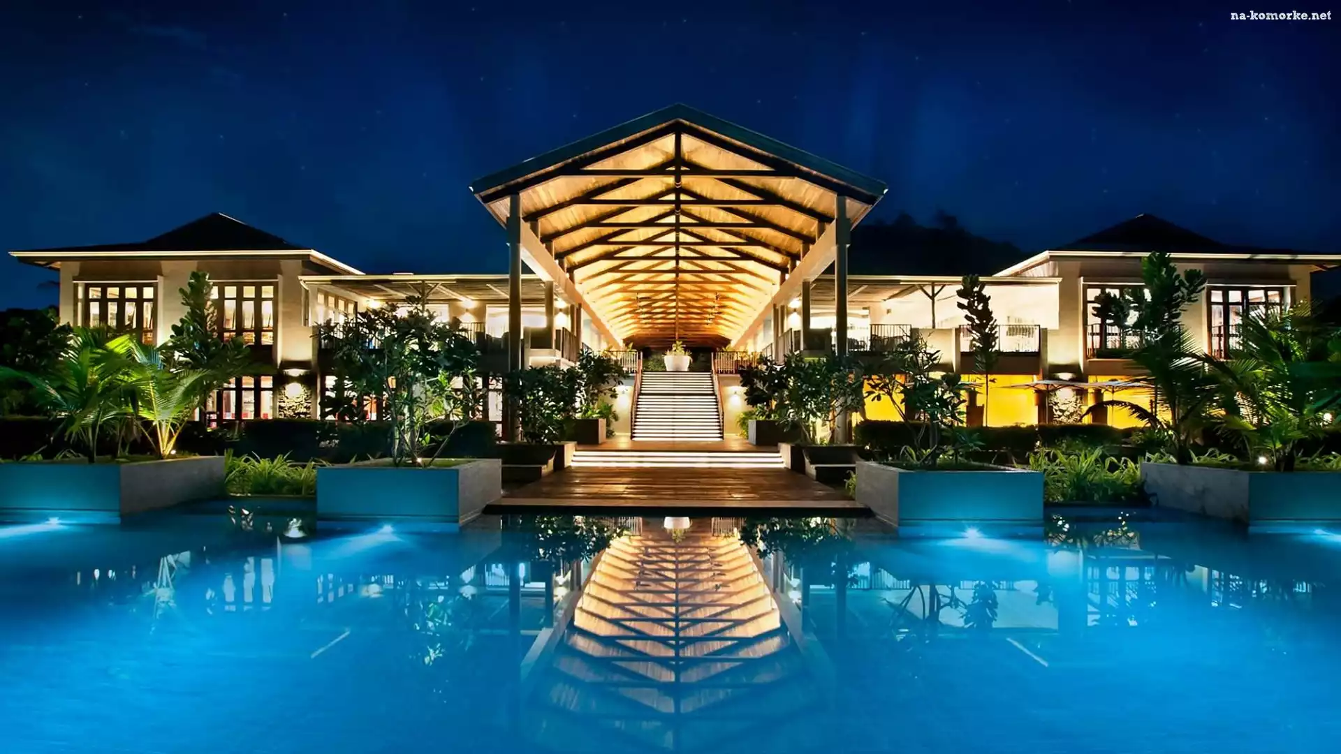Hotel, Basen, Palmy