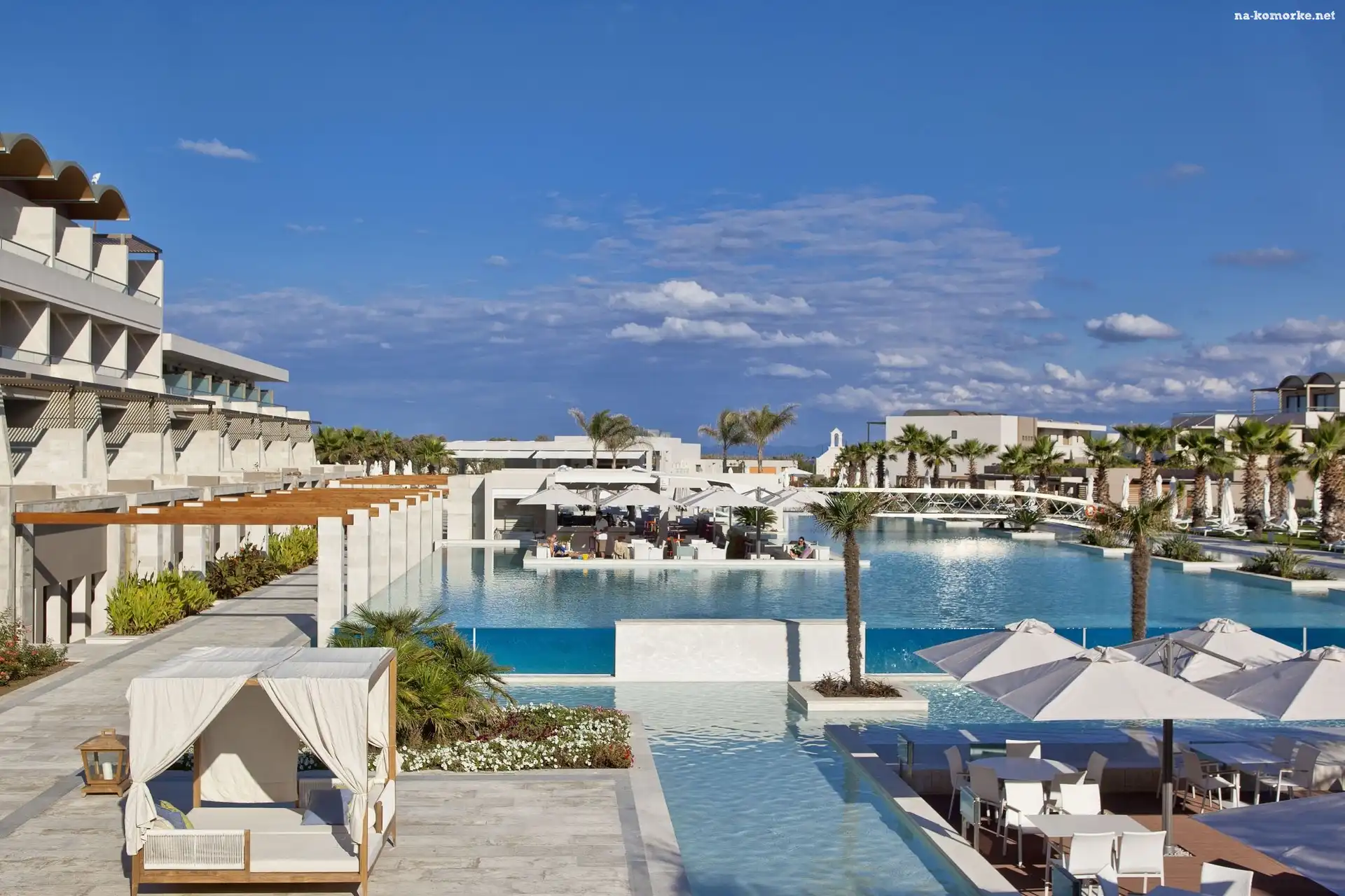 Hotel, Basen, Palmy