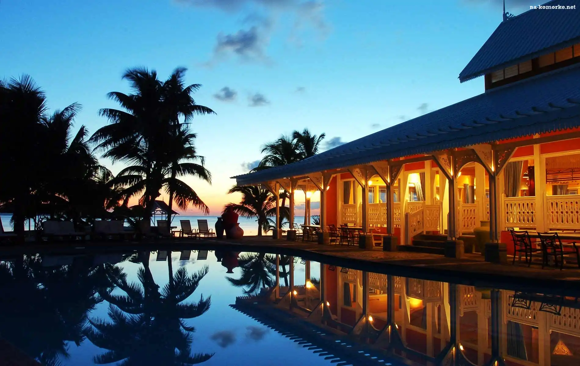 Hotel, Basen, Palmy