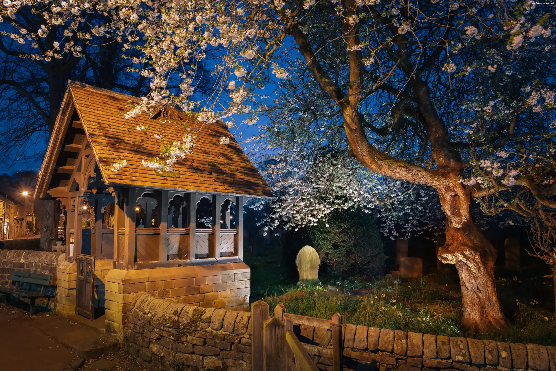 Baslow, Noc, Wejście, Kwitnące, Anglia, Drzewo, Lychgate, Hrabstwo Derbyshire, Ogrodzenie, Drzewo, Cmentarz, Kościół św. Anny