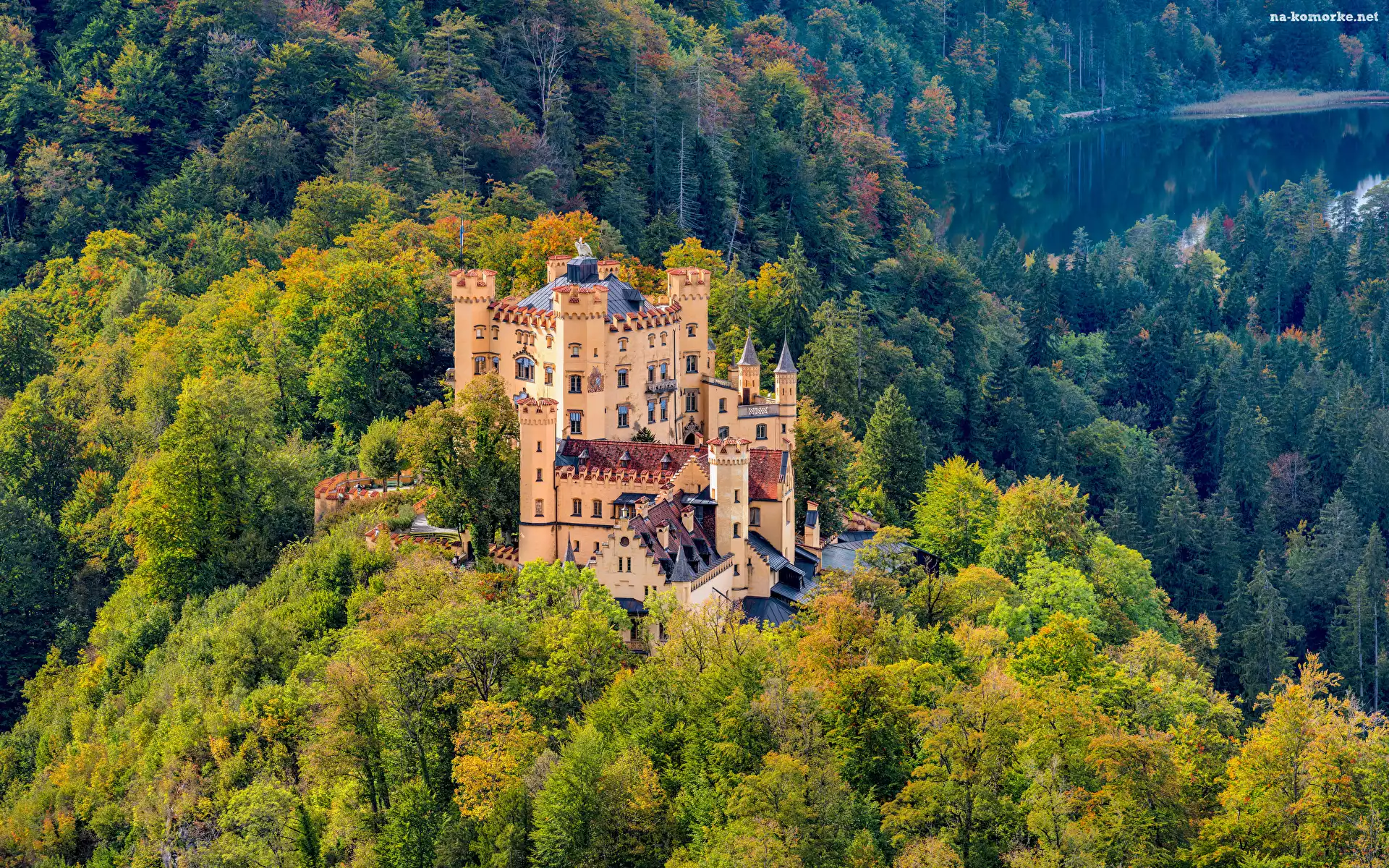 Las, Niemcy, Alpy Bawarskie, Zamek Hohenschwangau, Góry, Bawaria