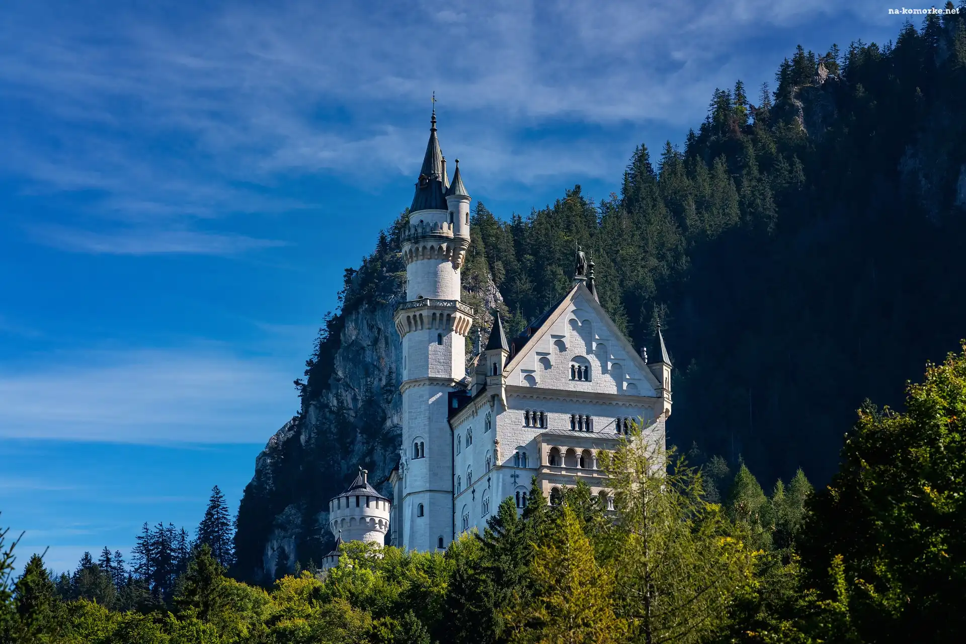 Drzewa, Gmina Schwangau, Bawaria, Zamek Neuschwanstein, Niemcy