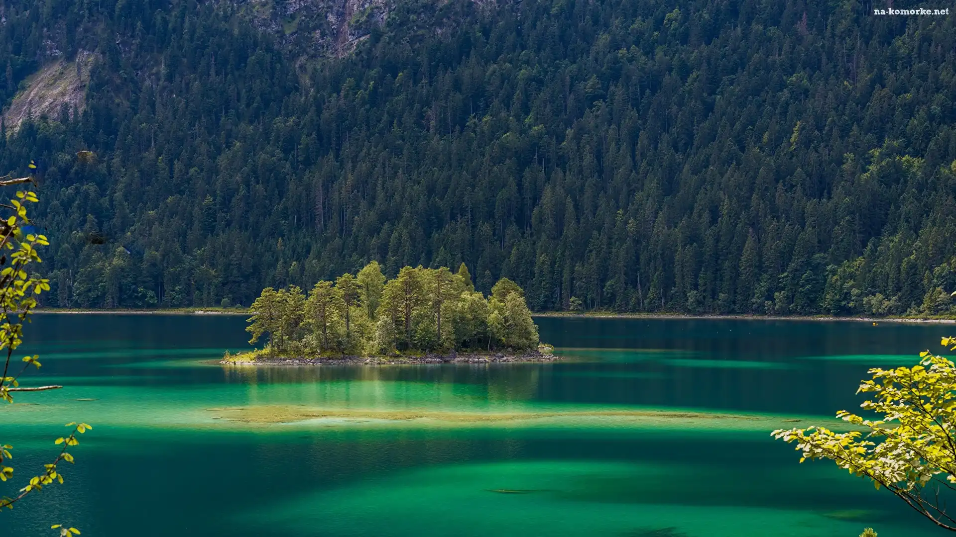 Wyspa, Bawaria, Niemcy, Lasy, Jezioro Eibsee, Drzewa