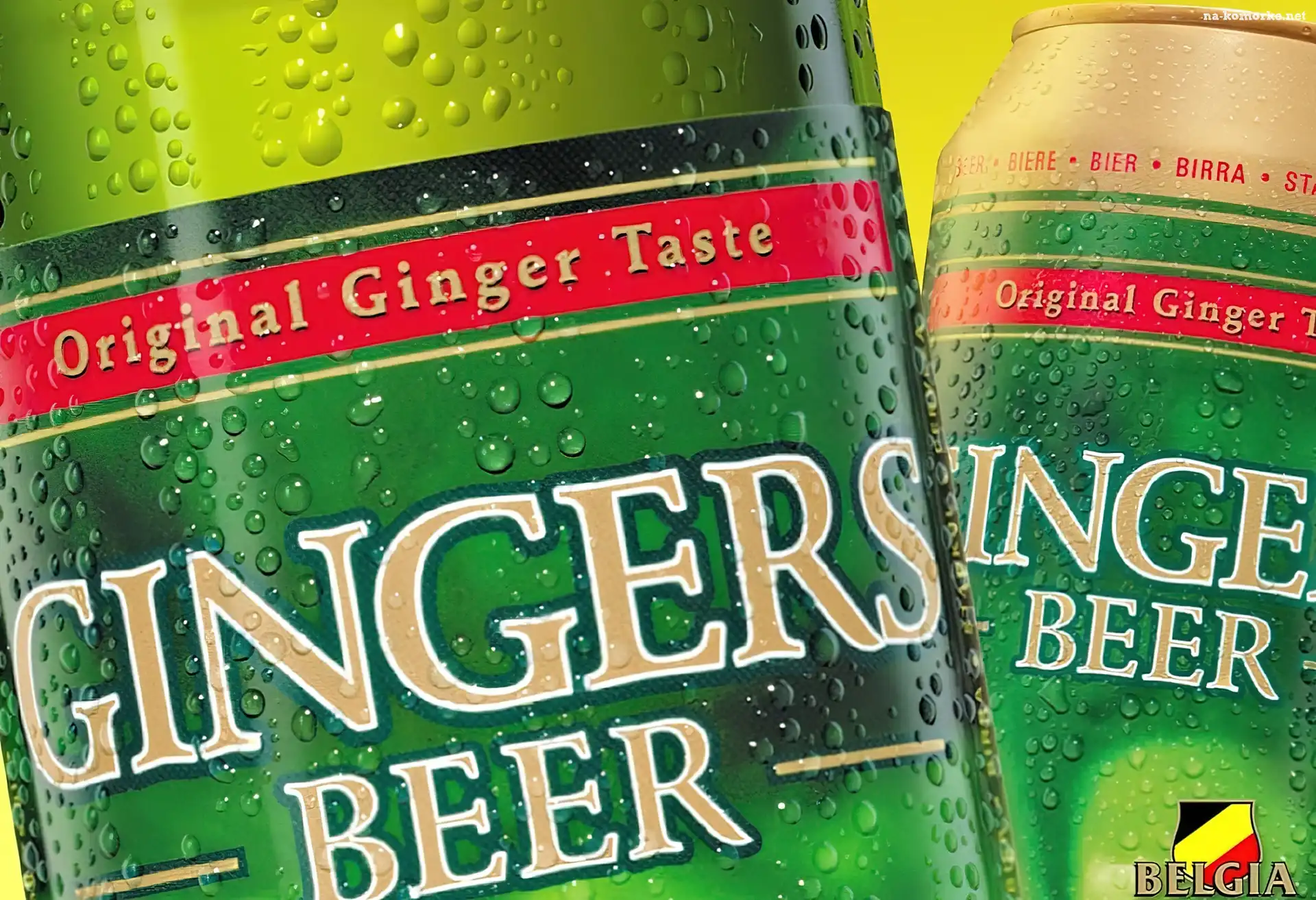 Gingers Beer, Piwo