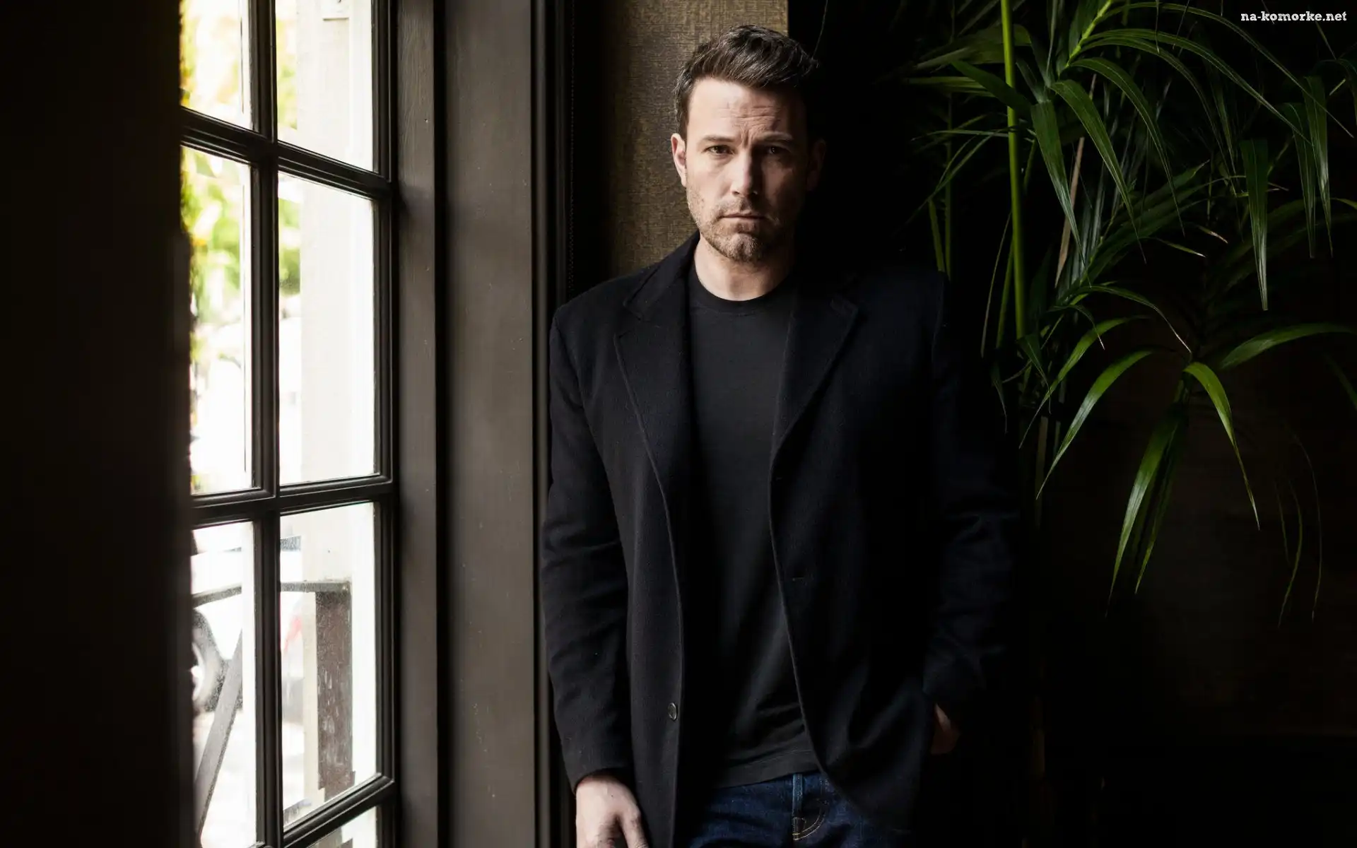 Ben Affleck, Roślina, Aktor, Okno