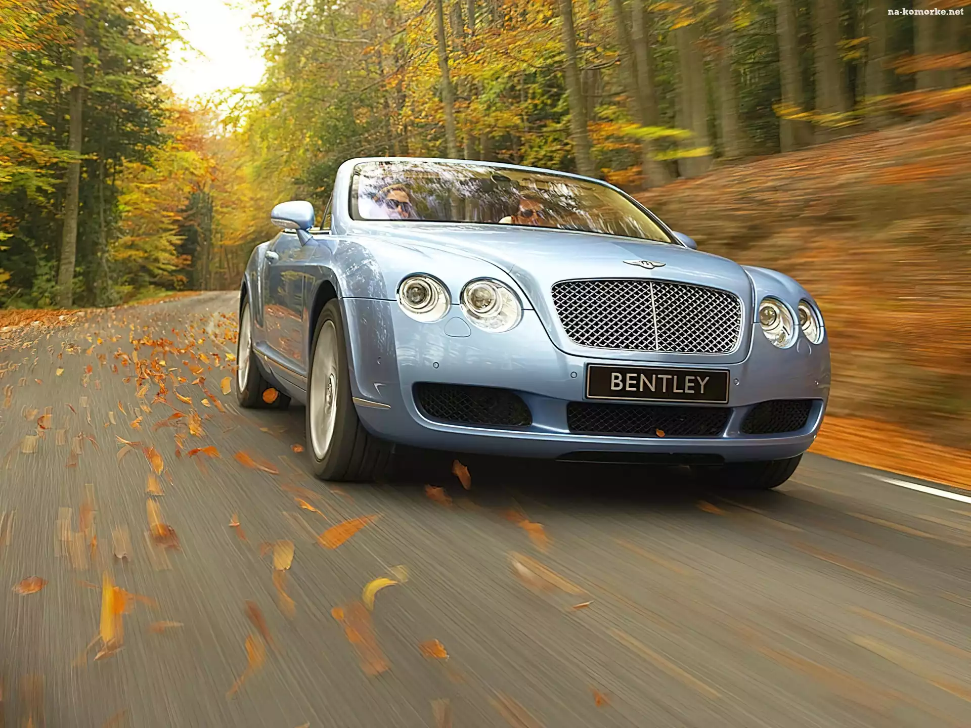 Bentley Continental GTC, Liście, Jesień