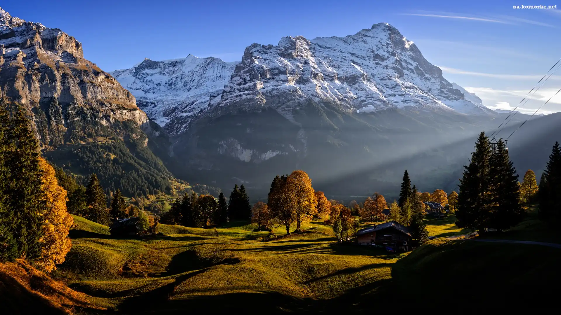 Szwajcaria, Drzewa, Domy, Kanton Berno, Wieś Grindelwald, Góry, Alpy Berneńskie